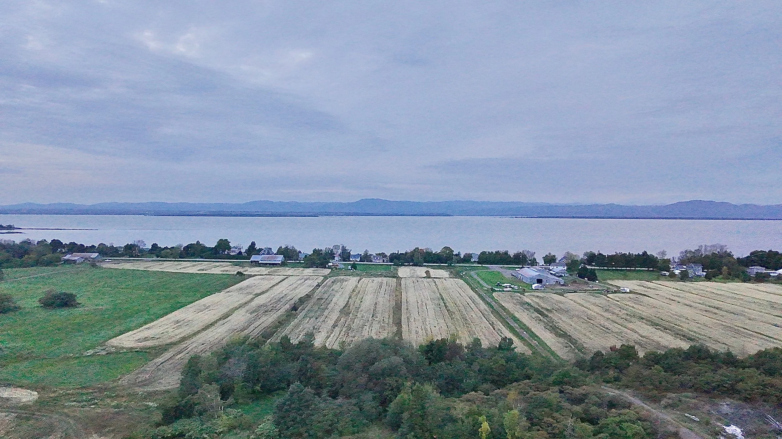 Terre-a-vendre-berthier-sur-mer-david-fafard-courtage-agricole (20).jpeg