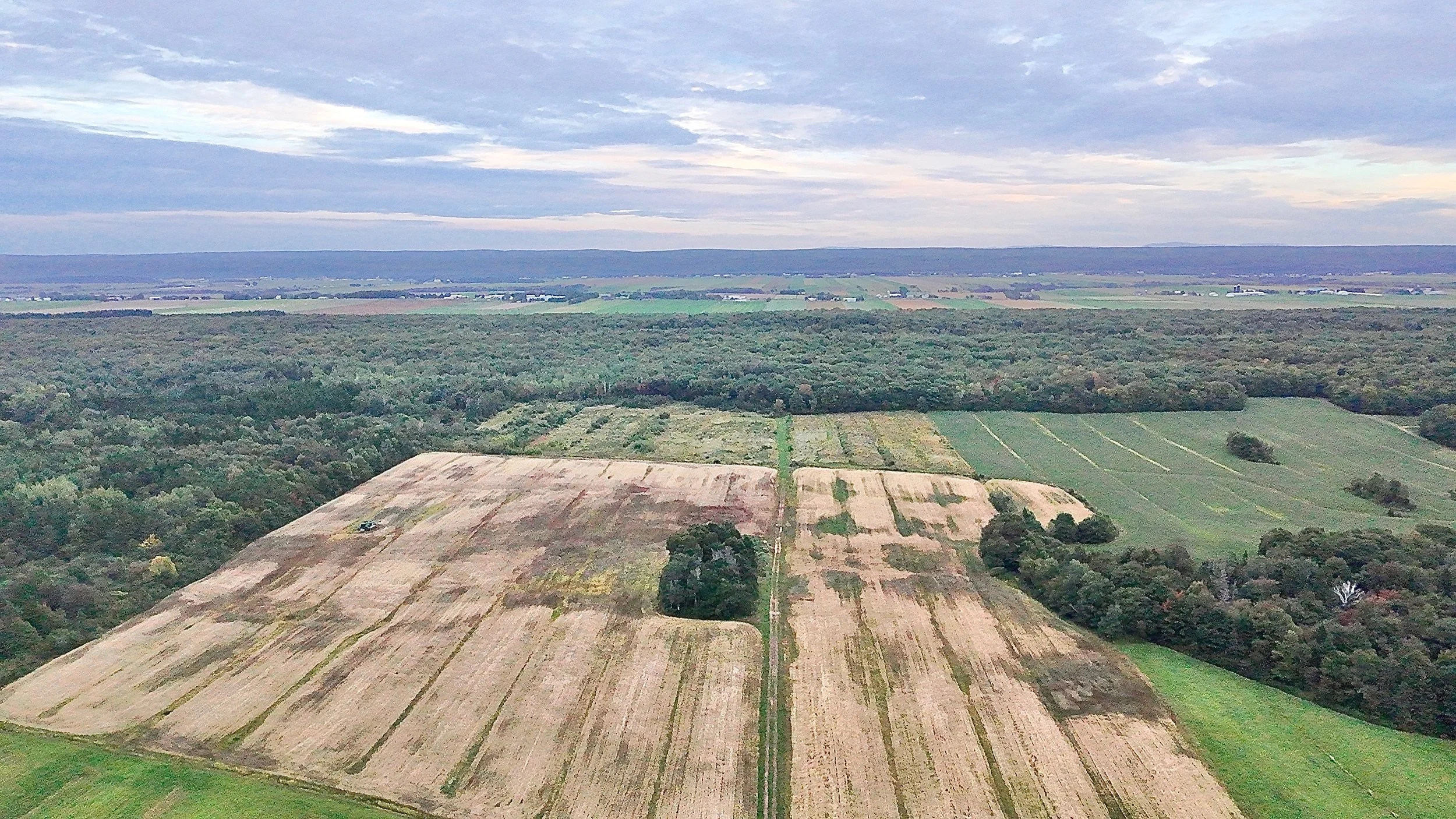 Terre-a-vendre-berthier-sur-mer-david-fafard-courtage-agricole (21).jpeg