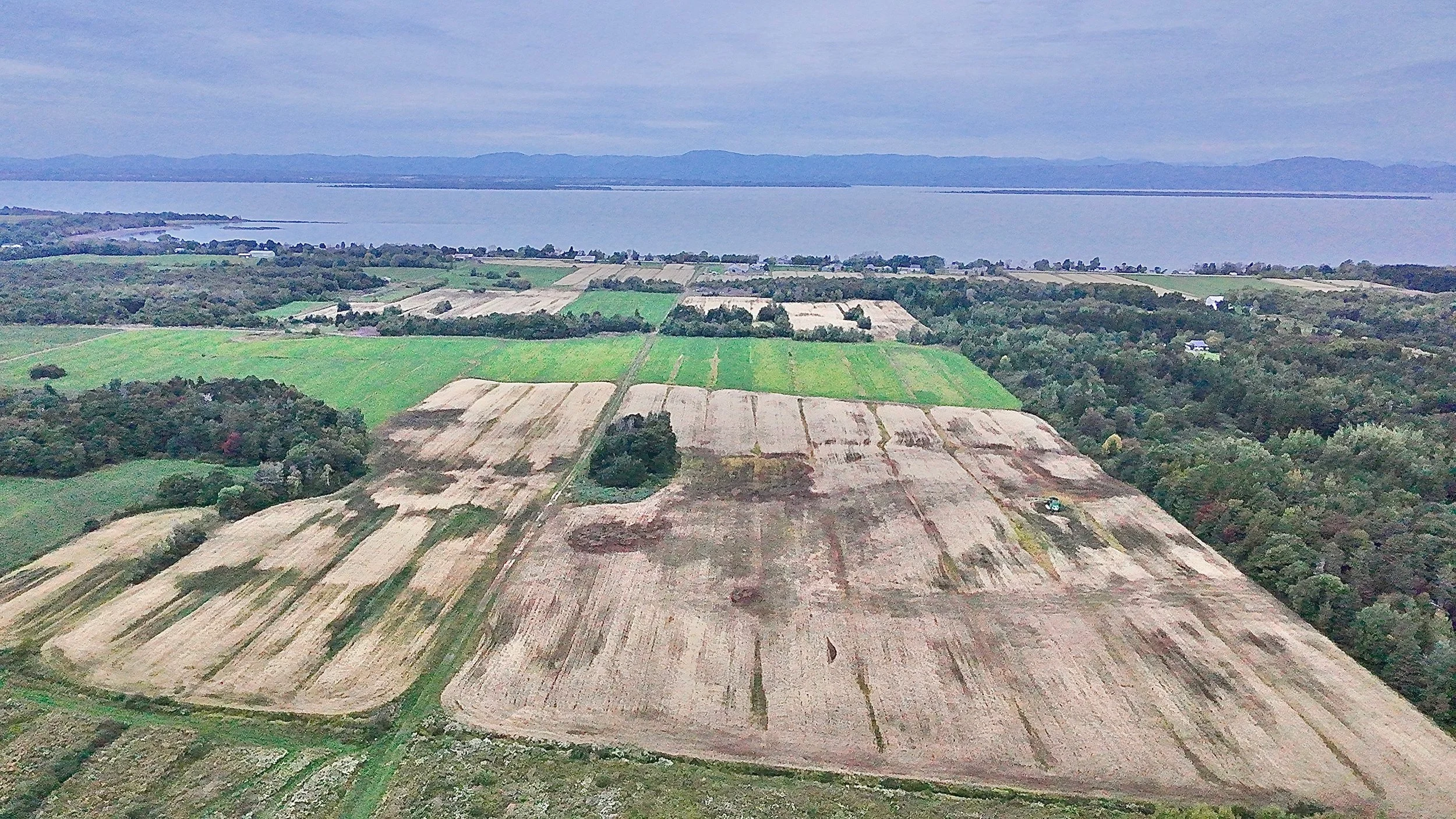 Terre-a-vendre-berthier-sur-mer-david-fafard-courtage-agricole (22).jpeg