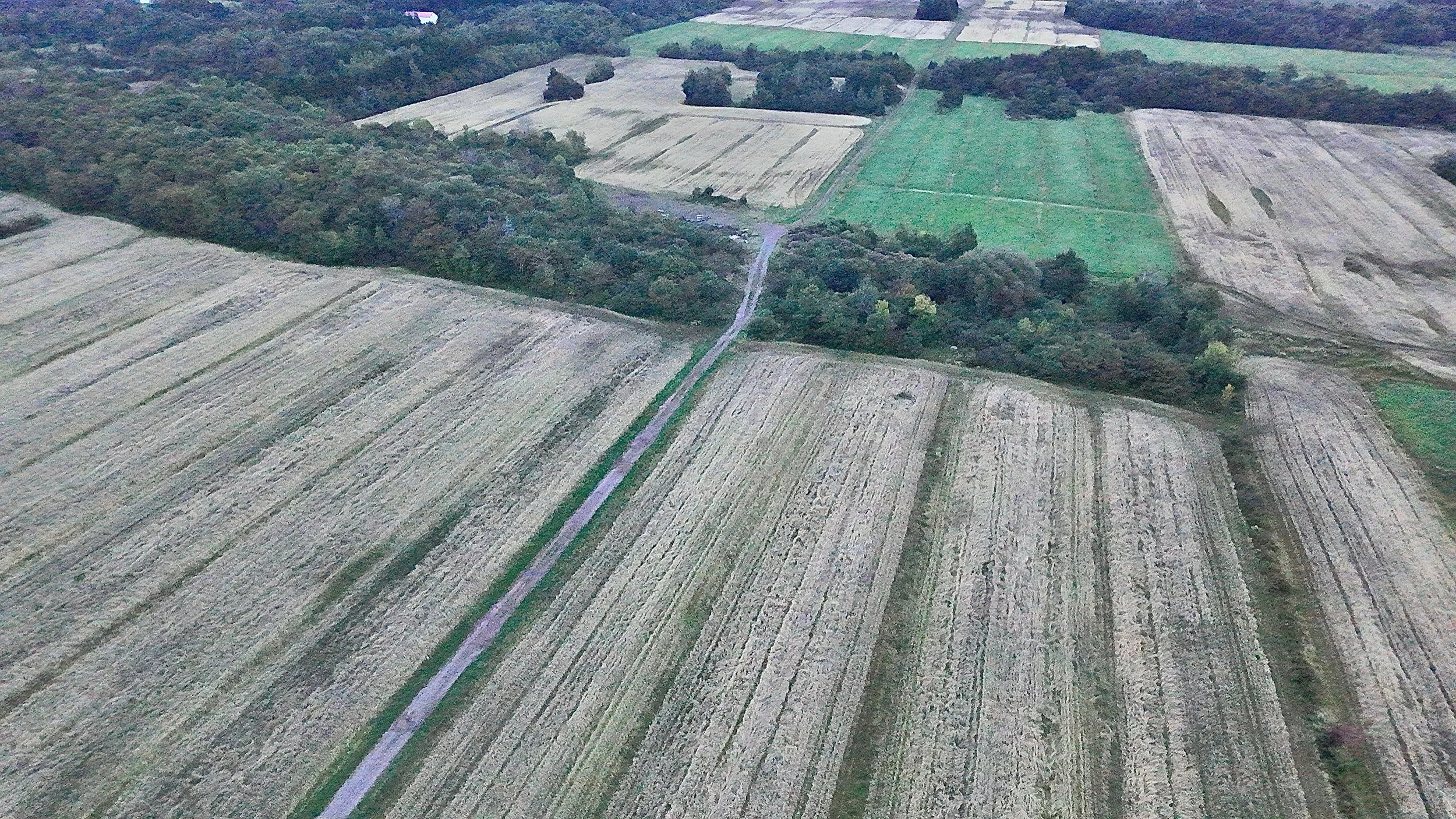 Terre-a-vendre-berthier-sur-mer-david-fafard-courtage-agricole (24).jpeg