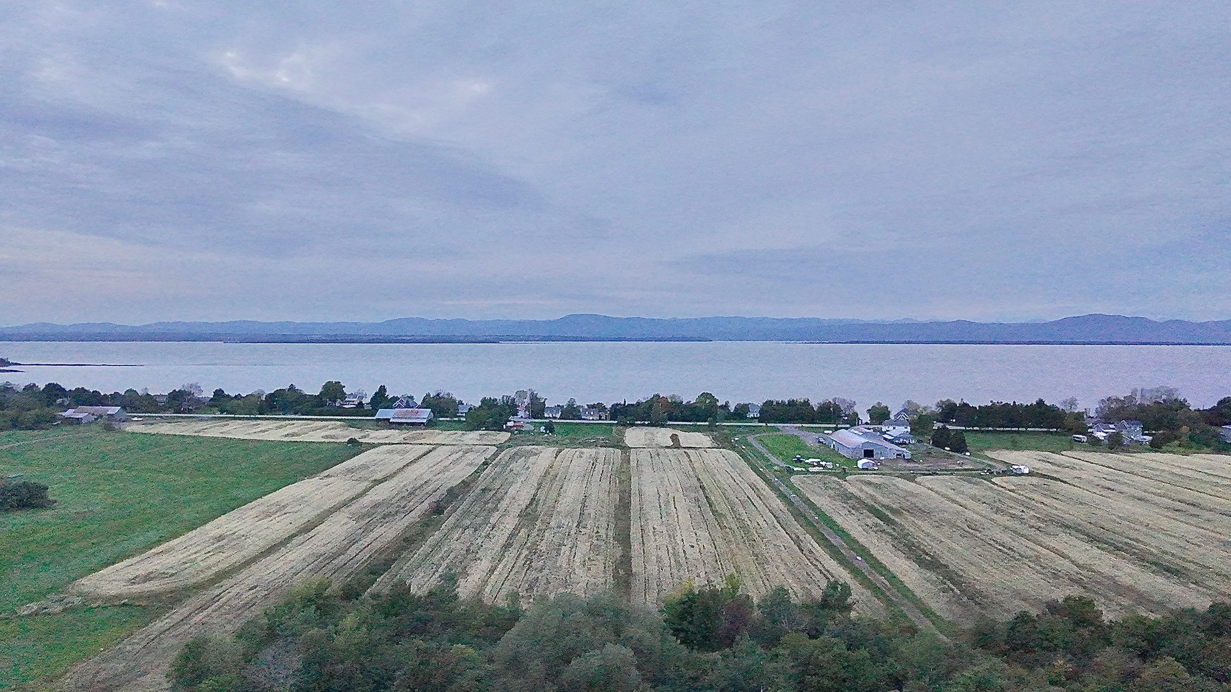 Terre-a-vendre-berthier-sur-mer-david-fafard-courtage-agricole (25).jpeg