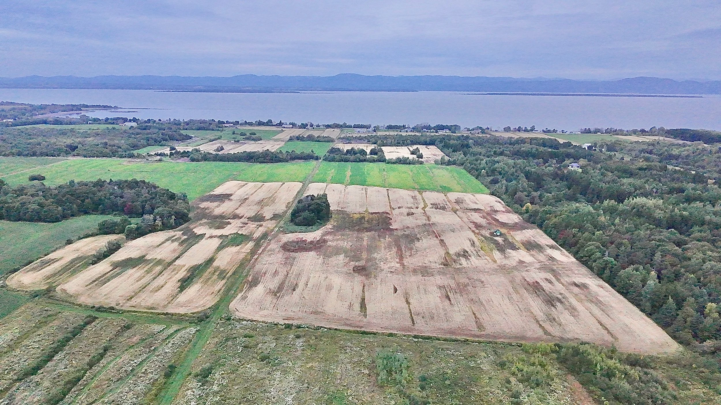 Terre-a-vendre-berthier-sur-mer-david-fafard-courtage-agricole (27).jpeg
