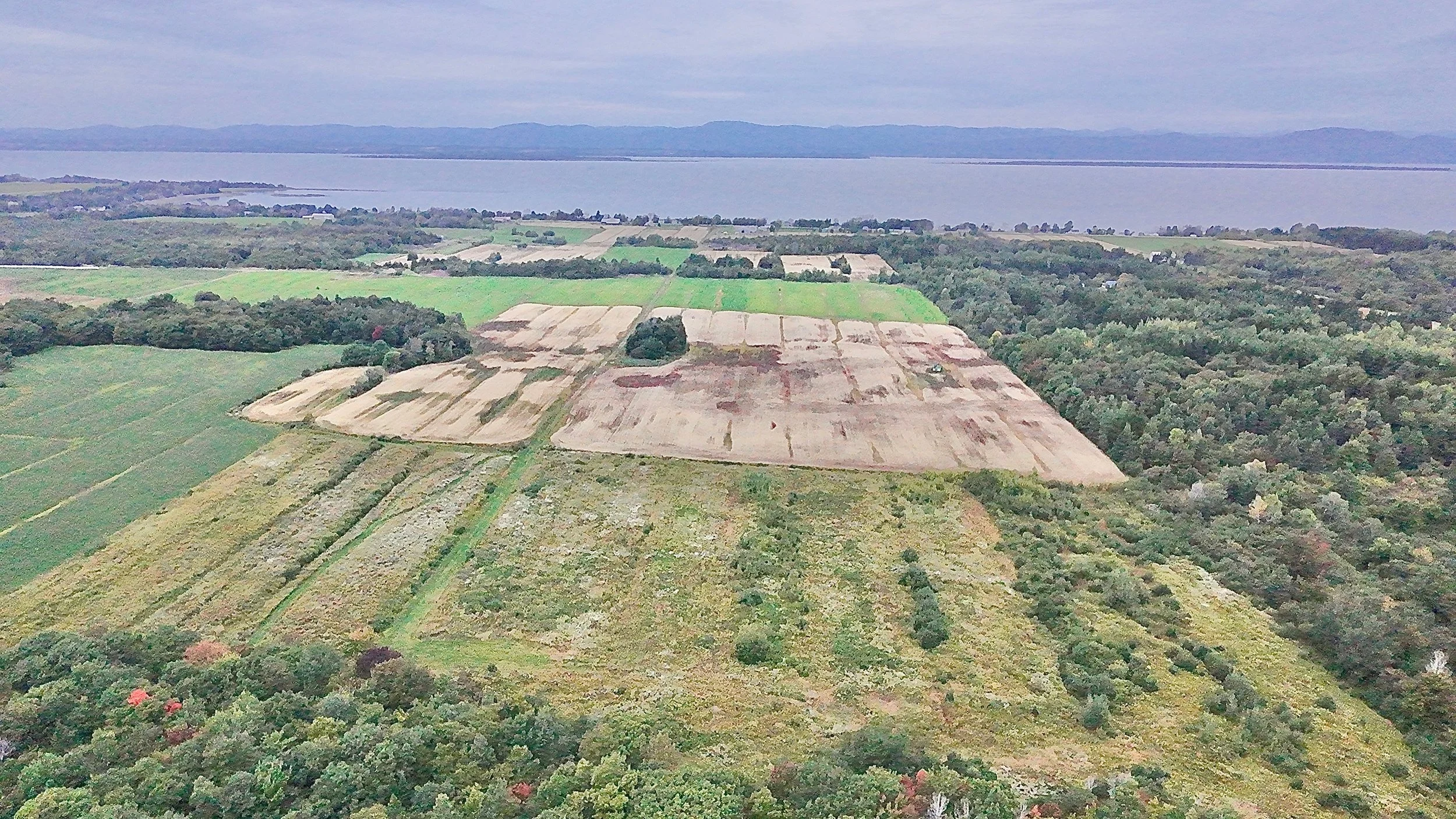 Terre-a-vendre-berthier-sur-mer-david-fafard-courtage-agricole (30).jpeg