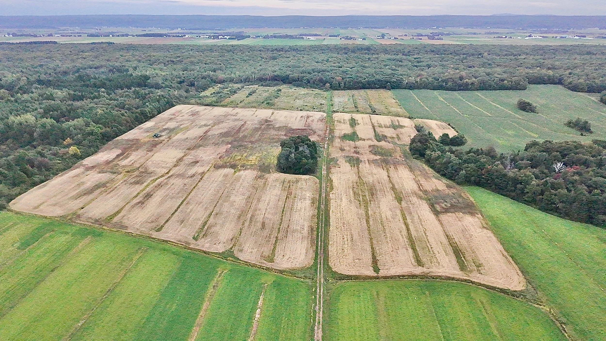 Terre-a-vendre-berthier-sur-mer-david-fafard-courtage-agricole (32).jpeg