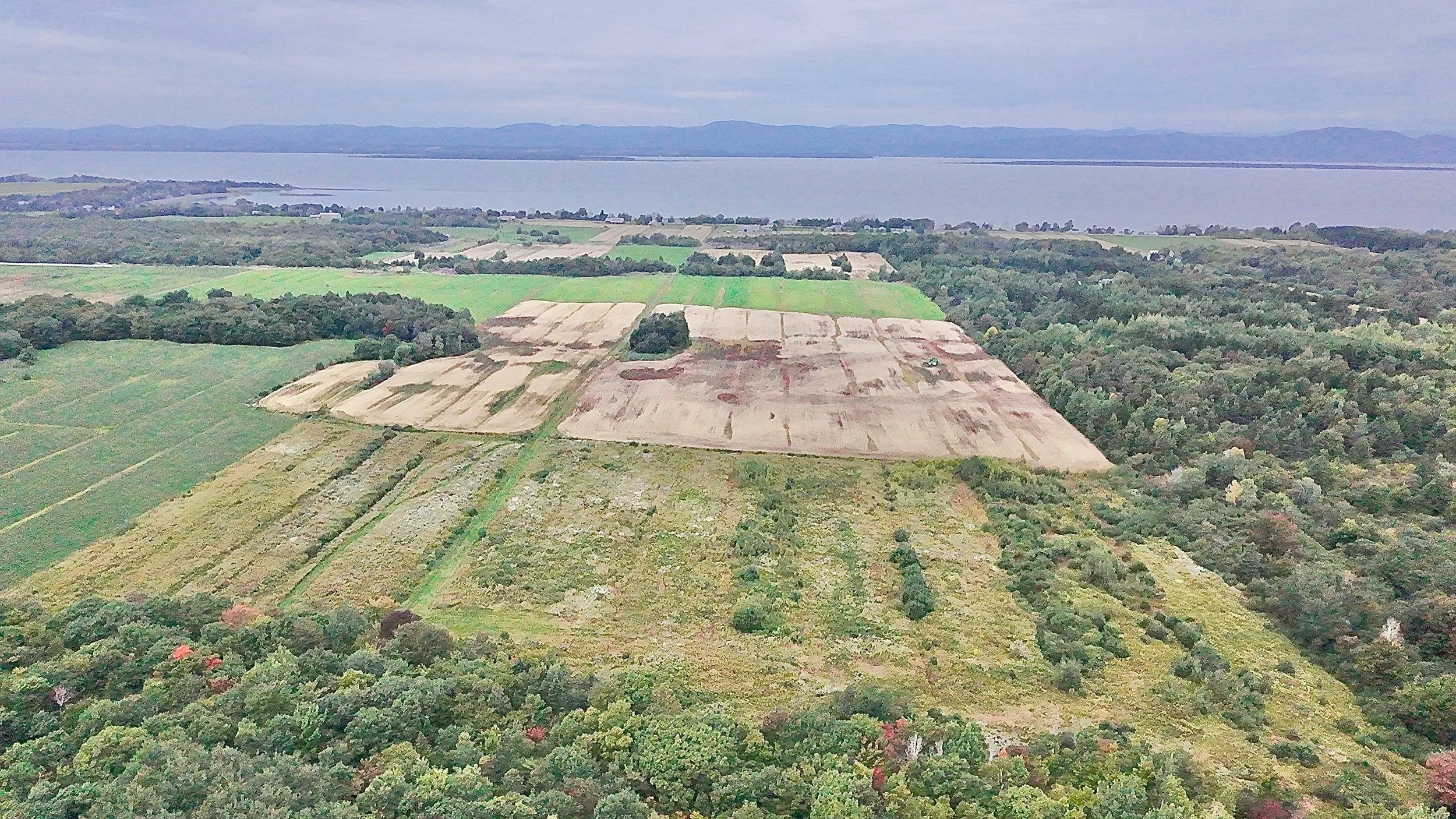 Terre-a-vendre-berthier-sur-mer-david-fafard-courtage-agricole (35).jpeg