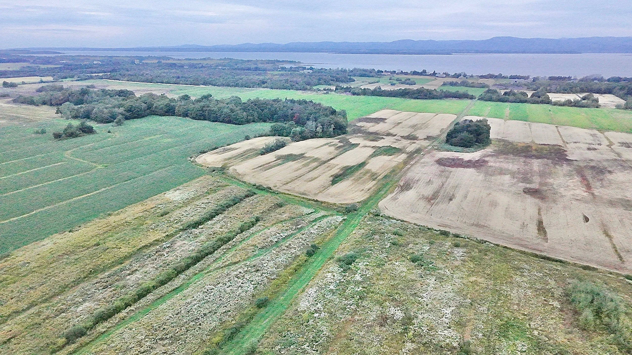 Terre-a-vendre-berthier-sur-mer-david-fafard-courtage-agricole (38).jpeg