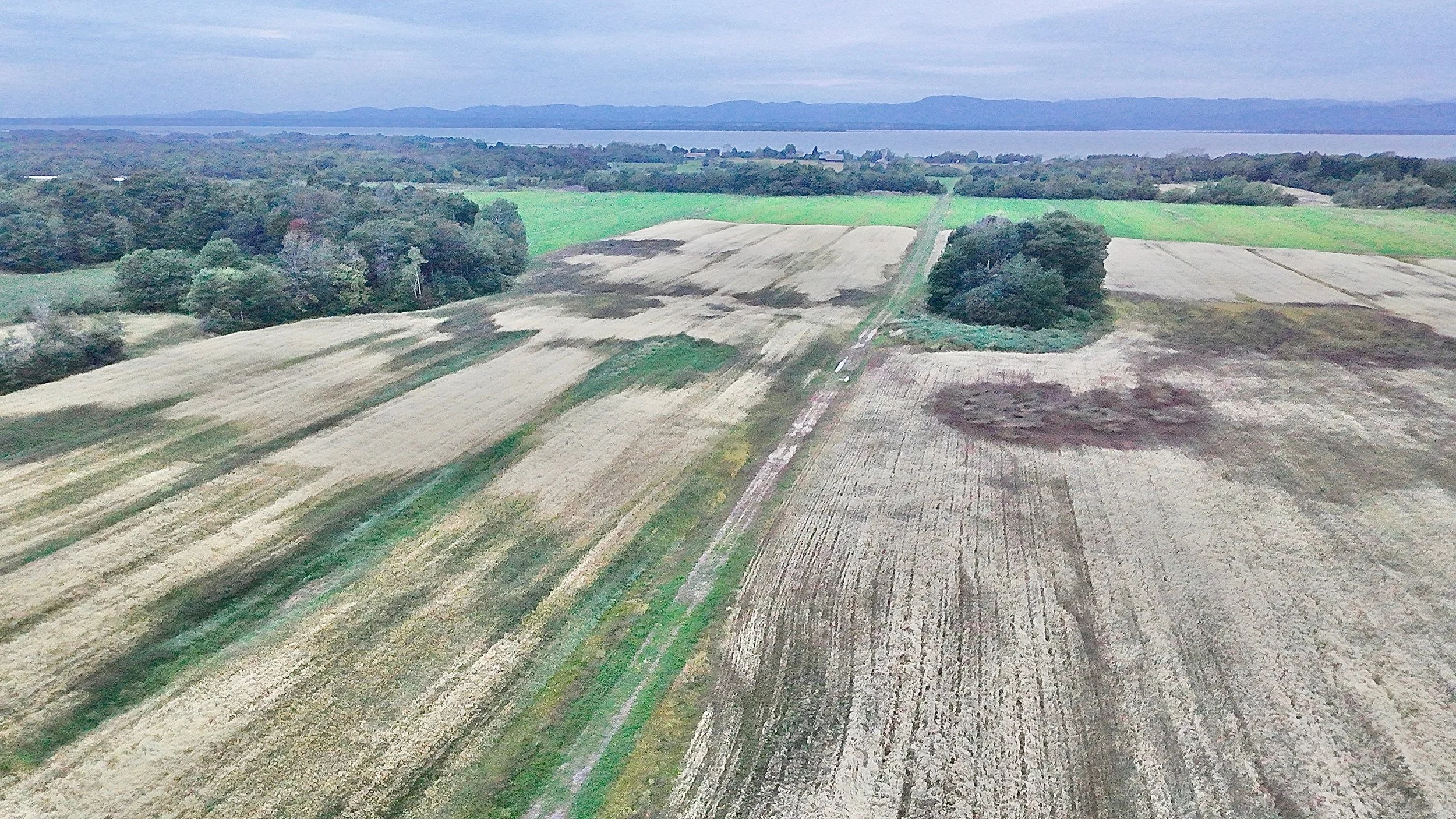 Terre-a-vendre-berthier-sur-mer-david-fafard-courtage-agricole (42).jpeg