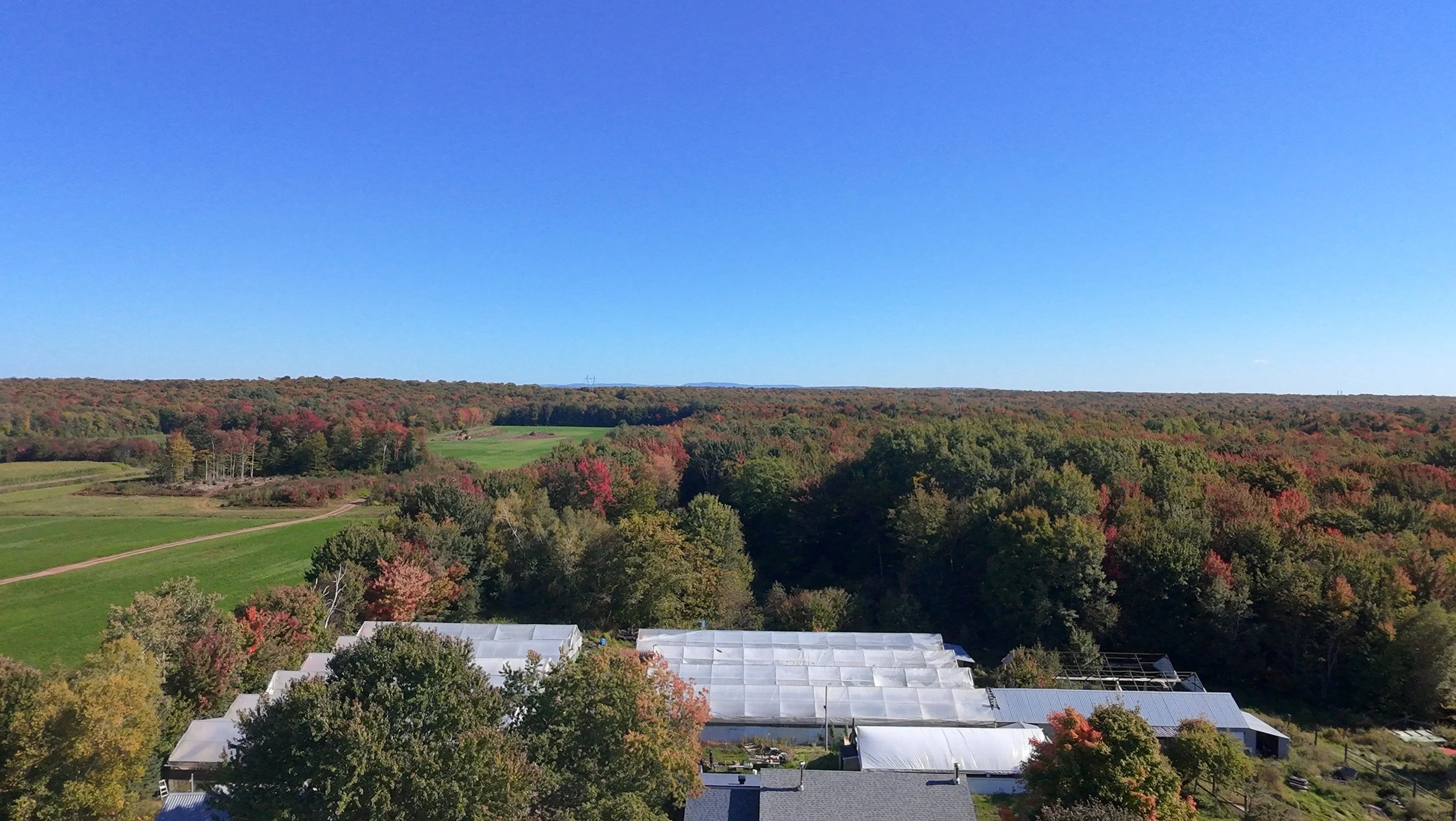 dji_fly_20260924_144308_0385_1790285893543_photo_beautify.jpeg
