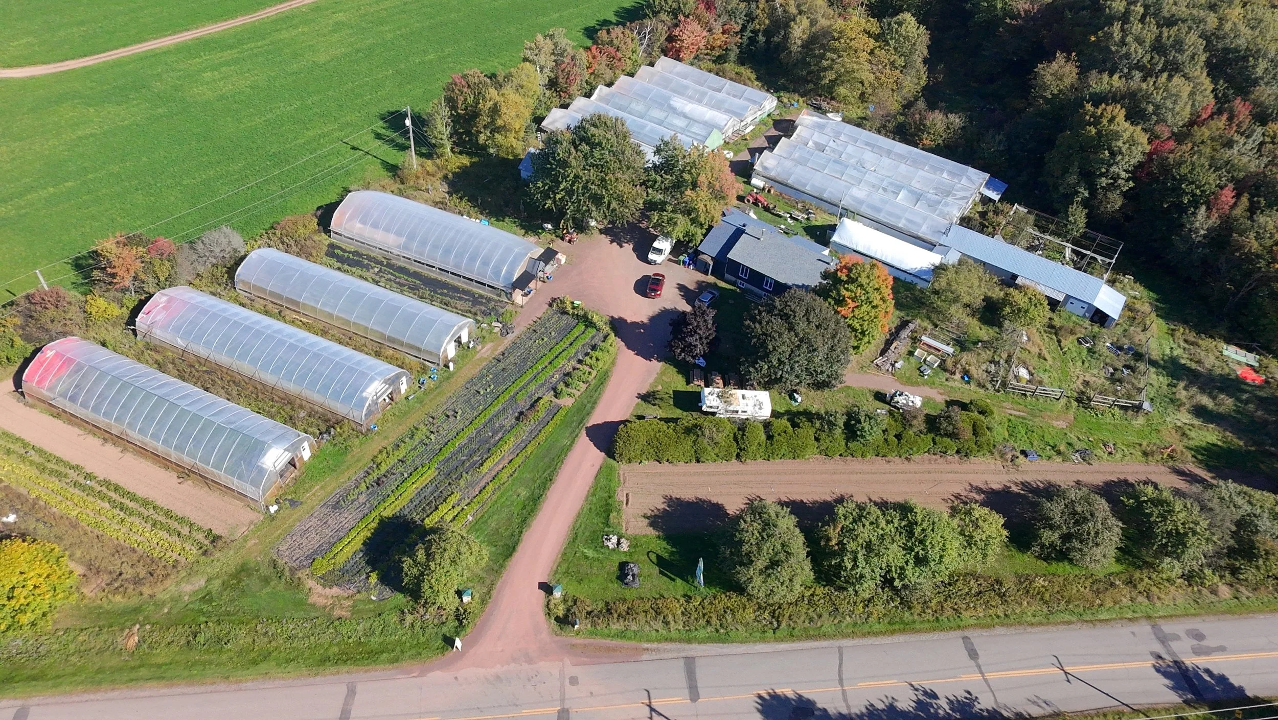 dji_fly_20260924_144740_0402_1790285884993_photo_beautify.jpeg