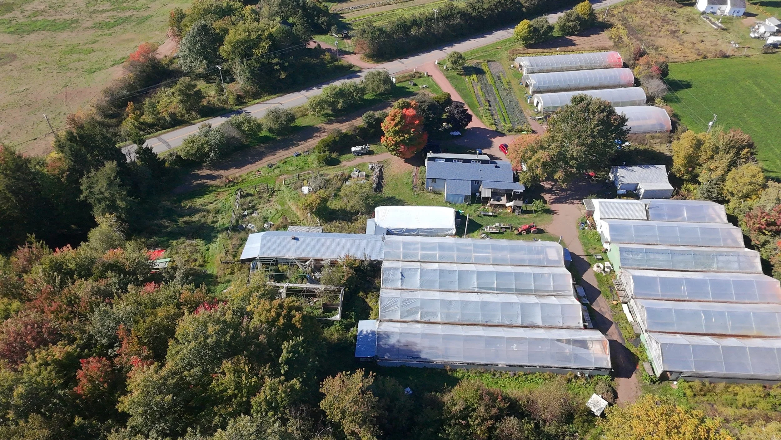 dji_fly_20260924_144850_0407_1790285882616_photo_beautify.jpeg