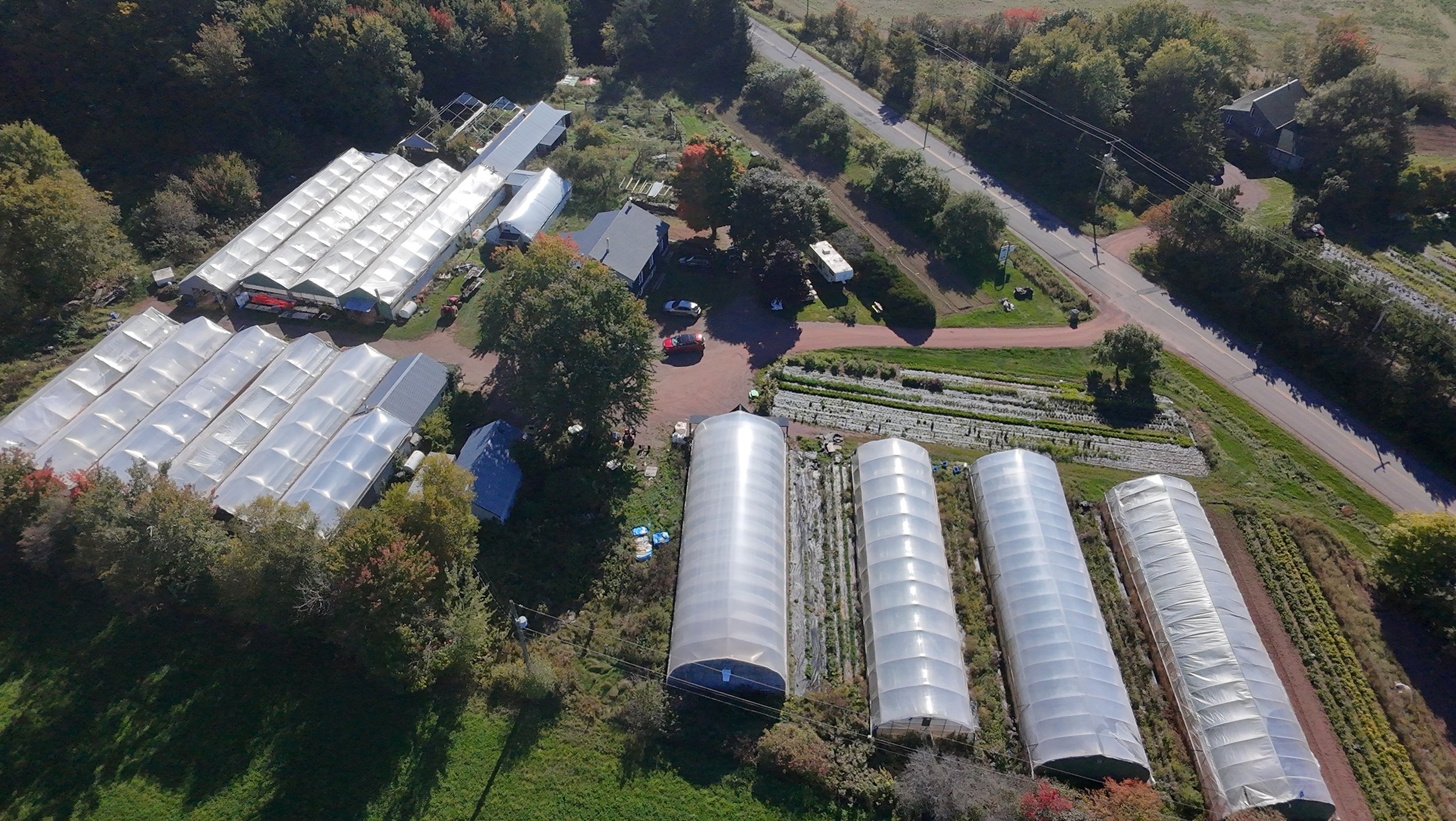 dji_fly_20260924_145042_0412_1790285880483_photo_beautify.jpeg