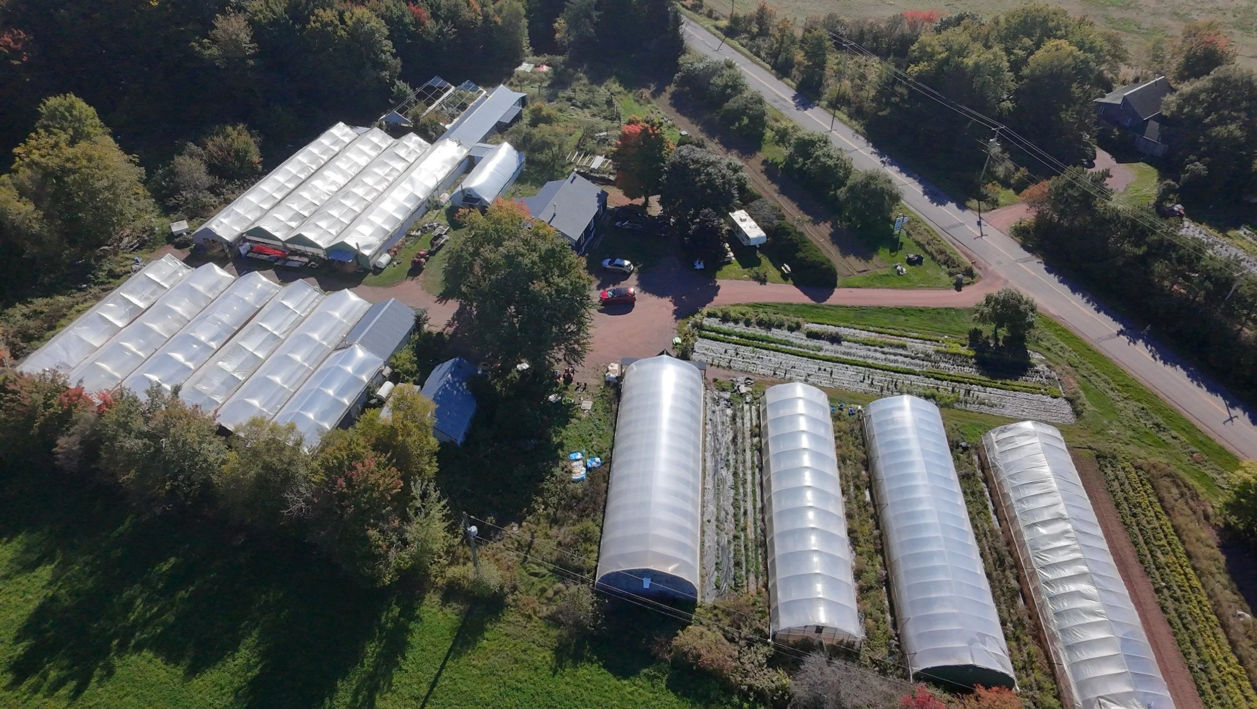 dji_fly_20260924_145044_0413_1790285879978_photo_beautify.jpeg