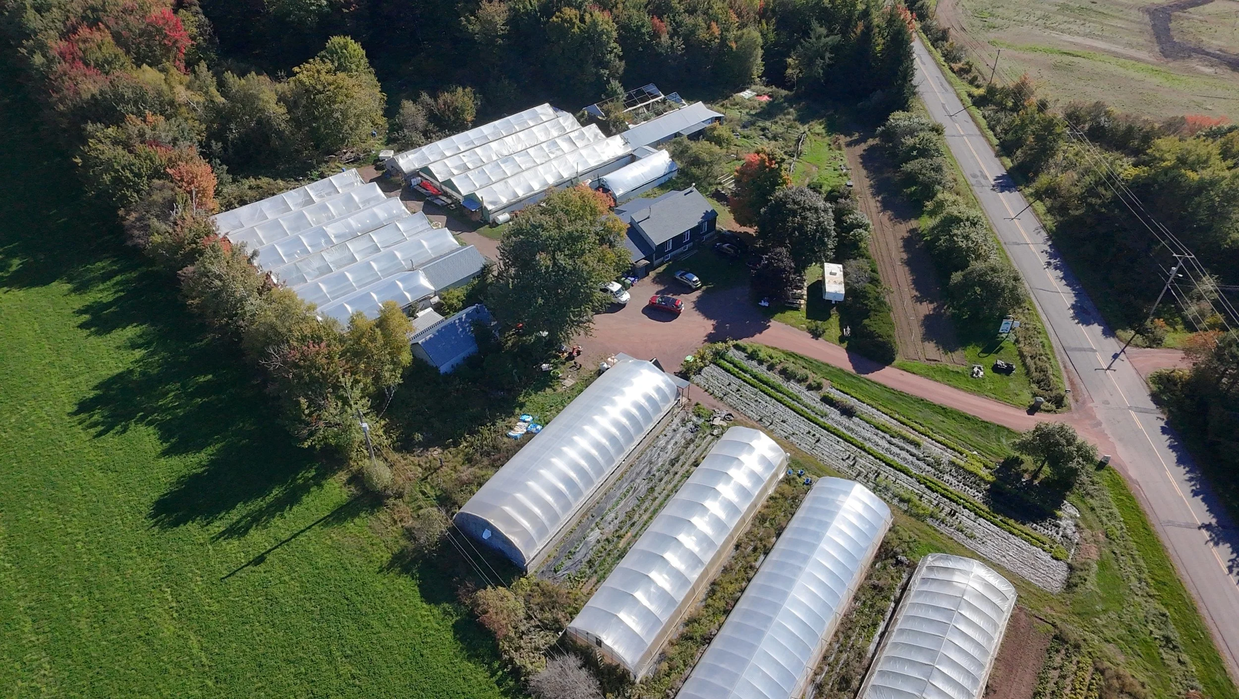 dji_fly_20260924_145054_0414_1790285879520_photo_beautify.jpeg