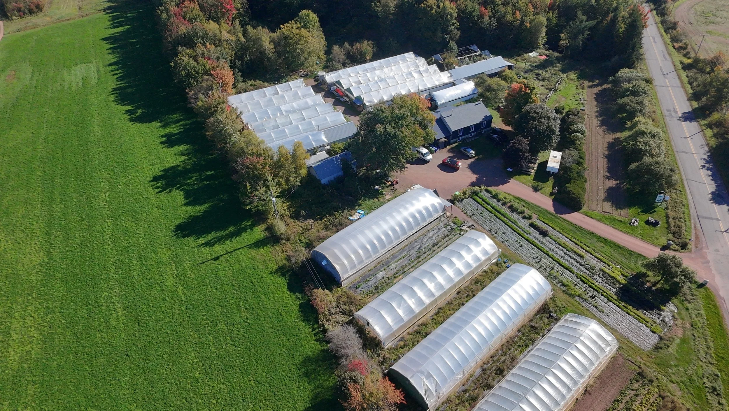 dji_fly_20260924_145058_0415_1790285878984_photo_beautify.jpeg