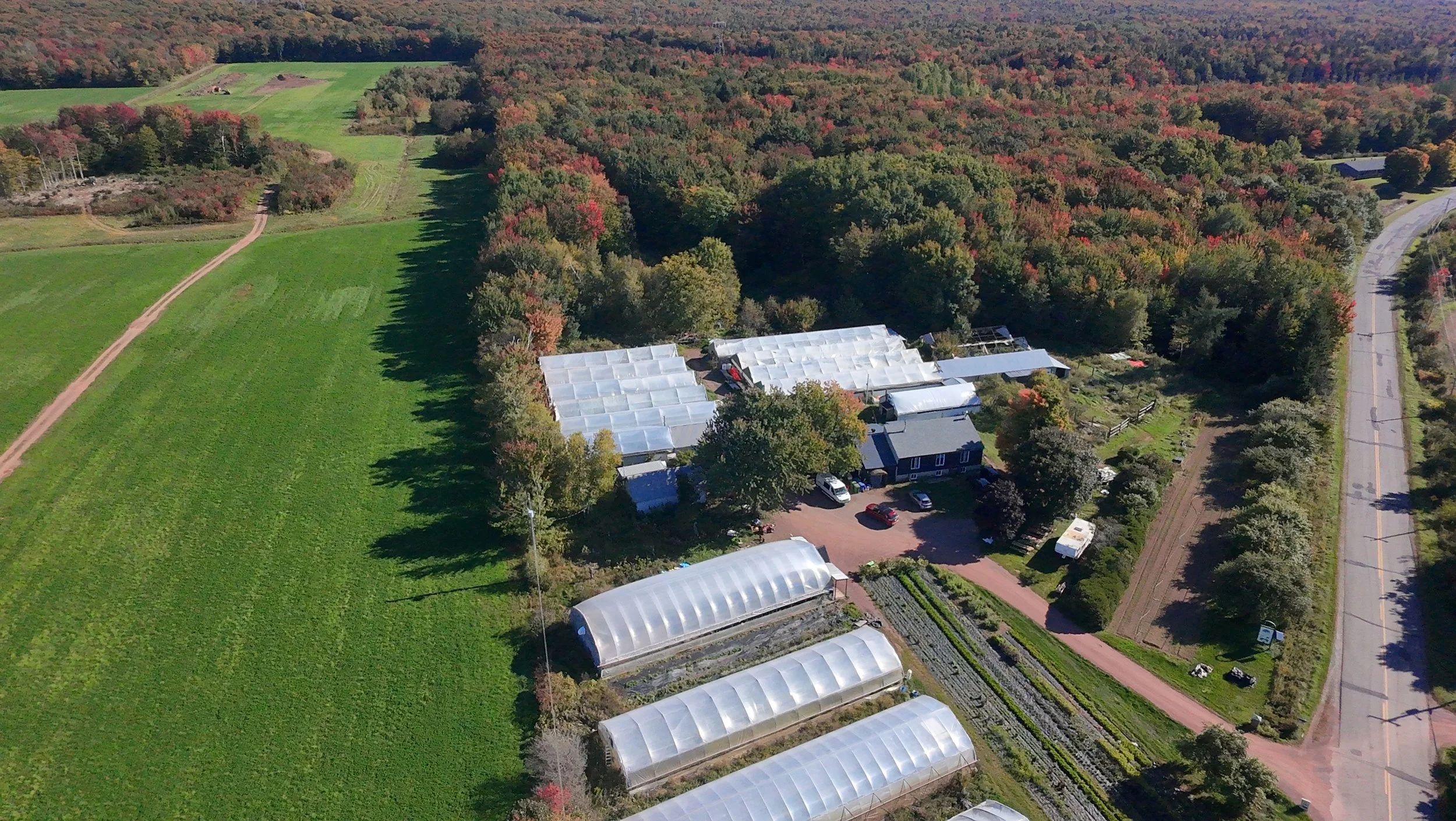dji_fly_20260924_145104_0416_1790285878486_photo_beautify.jpeg