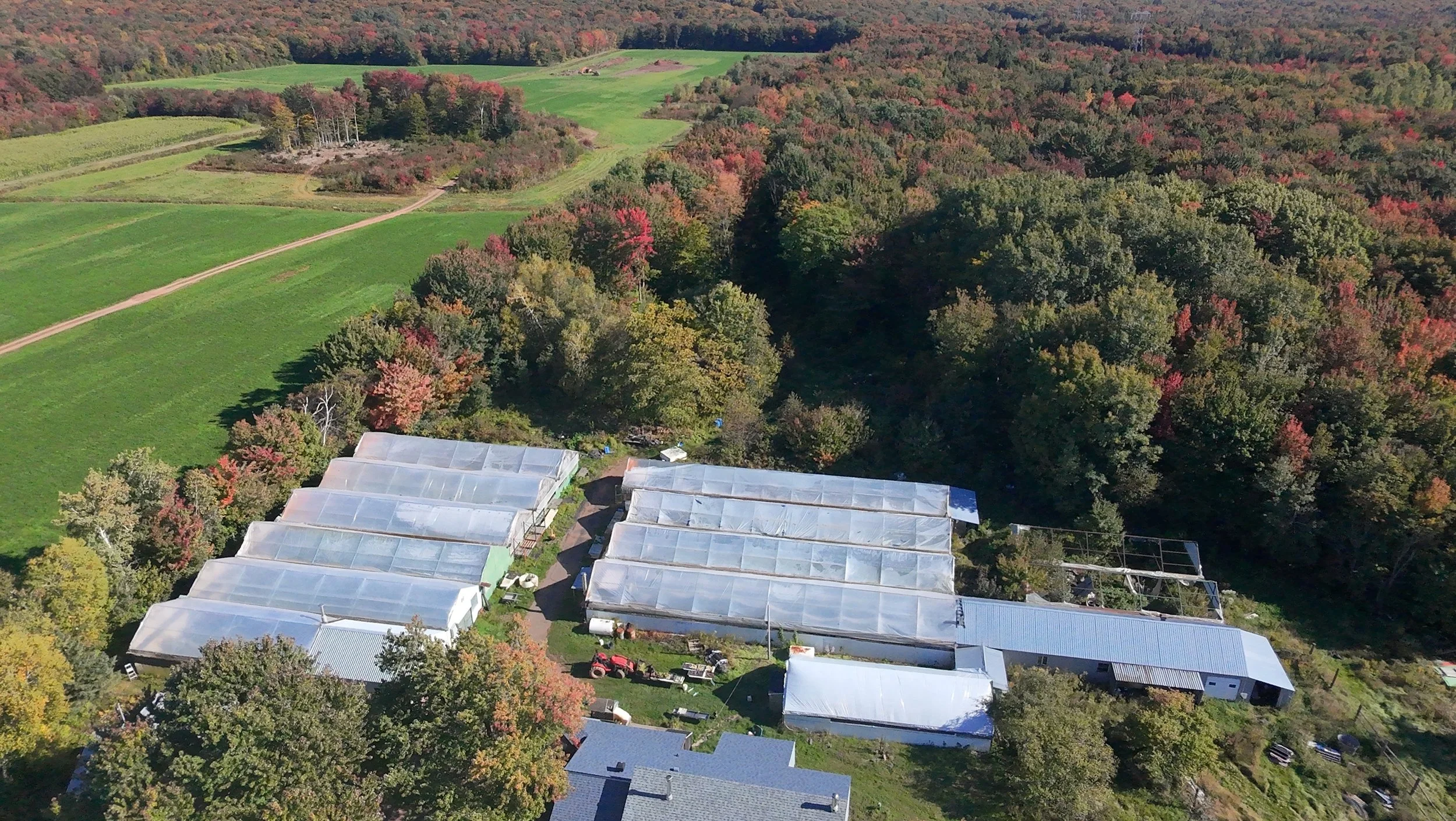 dji_fly_20260924_145134_0418_1790285877436_photo_beautify.jpeg