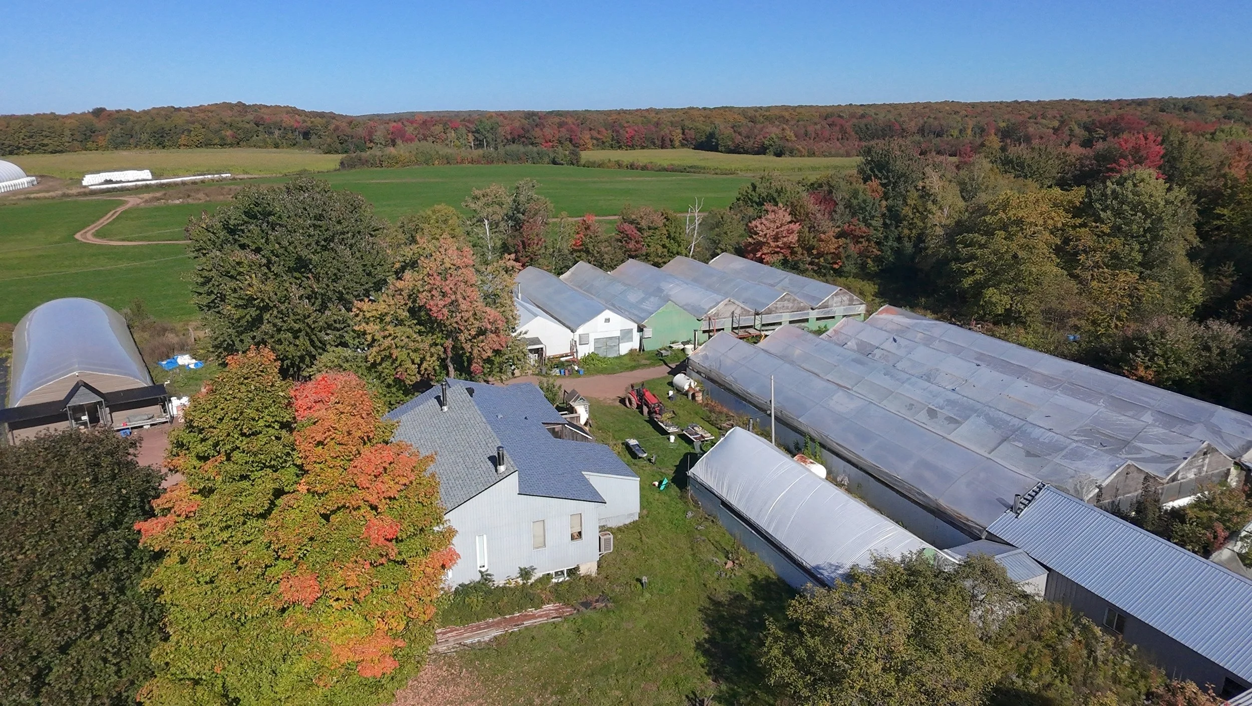 dji_fly_20260924_145250_0423_1790285875870_photo_beautify.jpeg