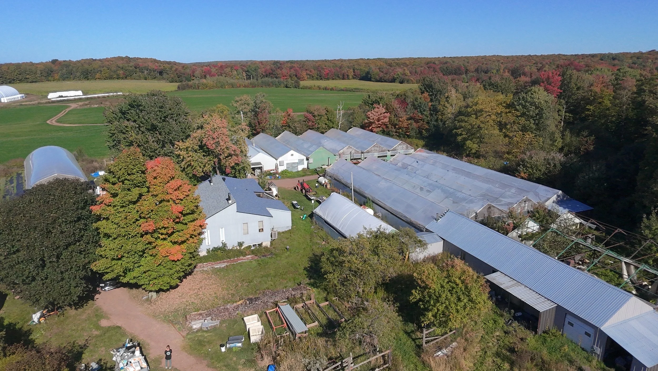 dji_fly_20260924_145300_0425_1790285874841_photo_beautify.jpeg
