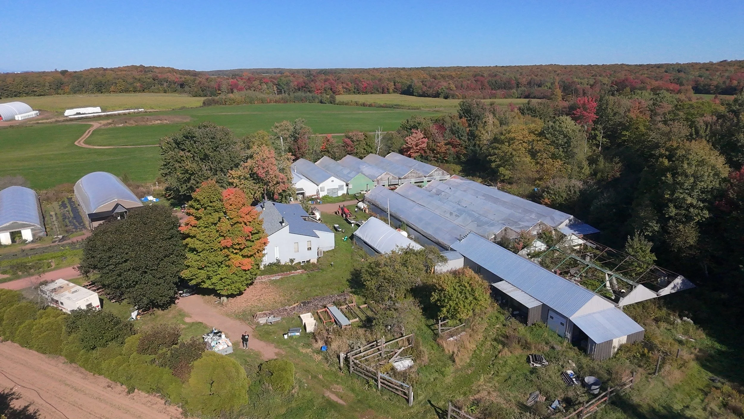 dji_fly_20260924_145306_0427_1790285873844_photo_beautify.jpeg