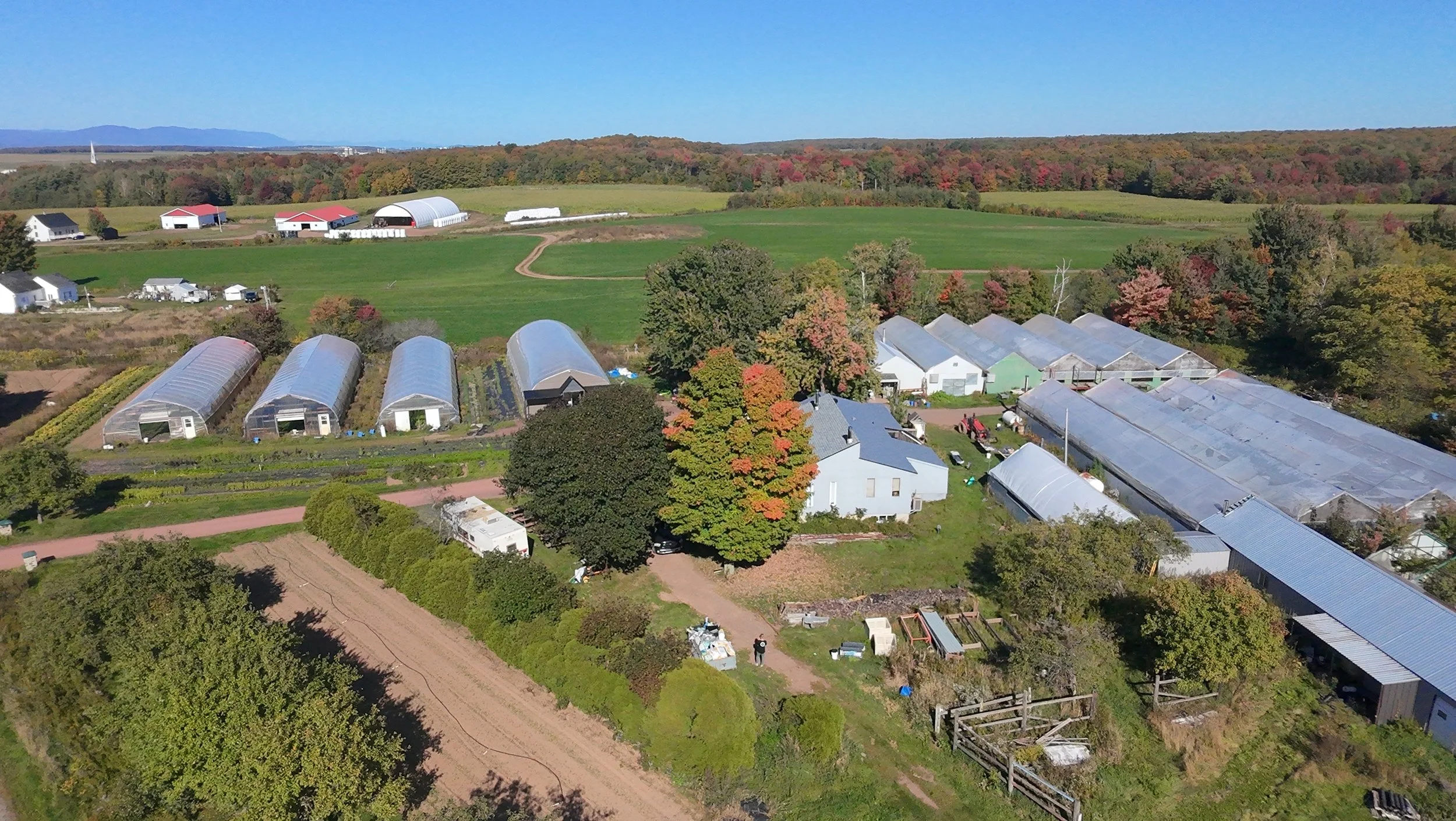 dji_fly_20260924_145312_0428_1790285873413_photo_beautify.jpeg