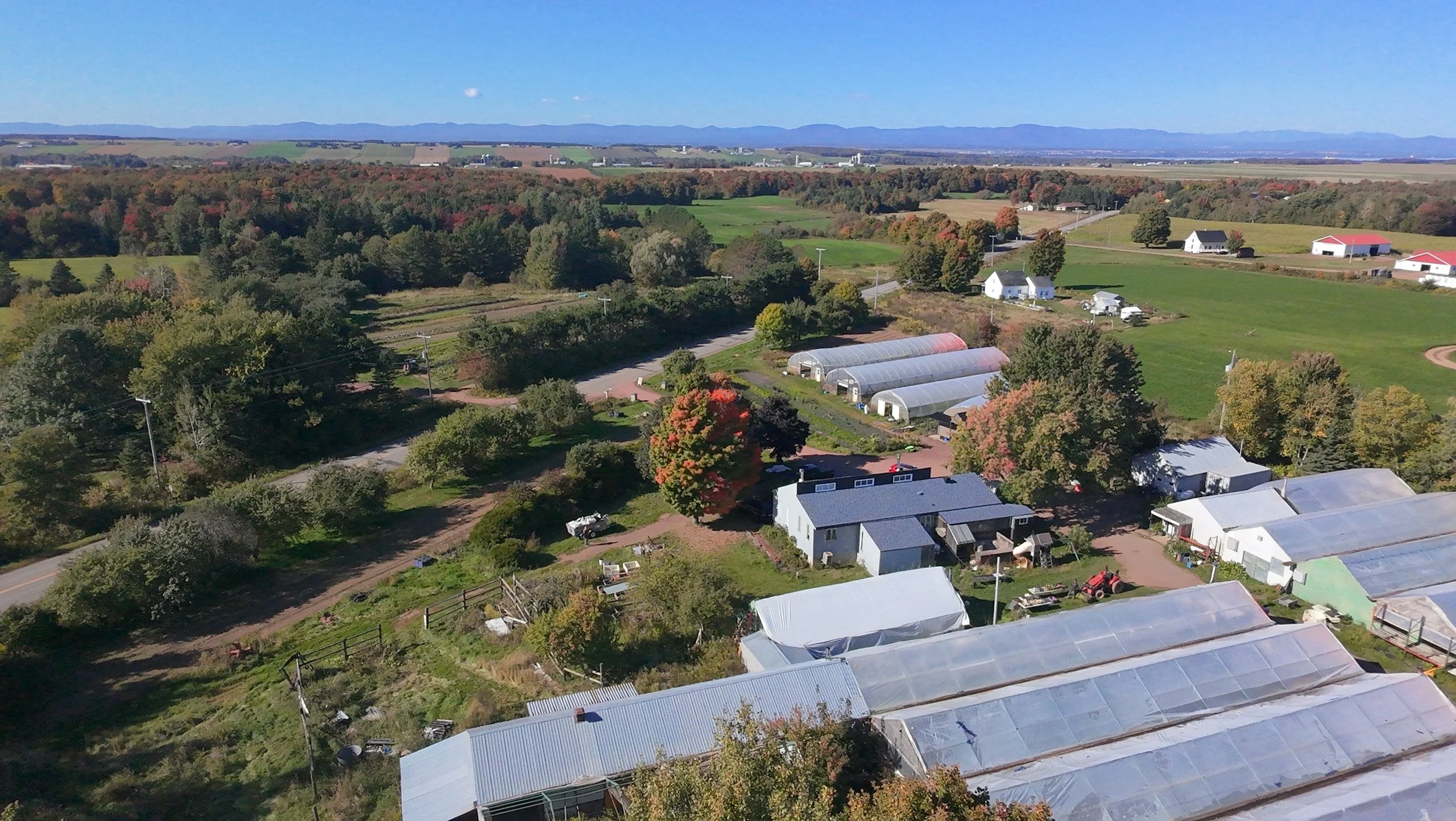 dji_fly_20260924_145354_0430_1790285872903_photo_beautify.jpeg