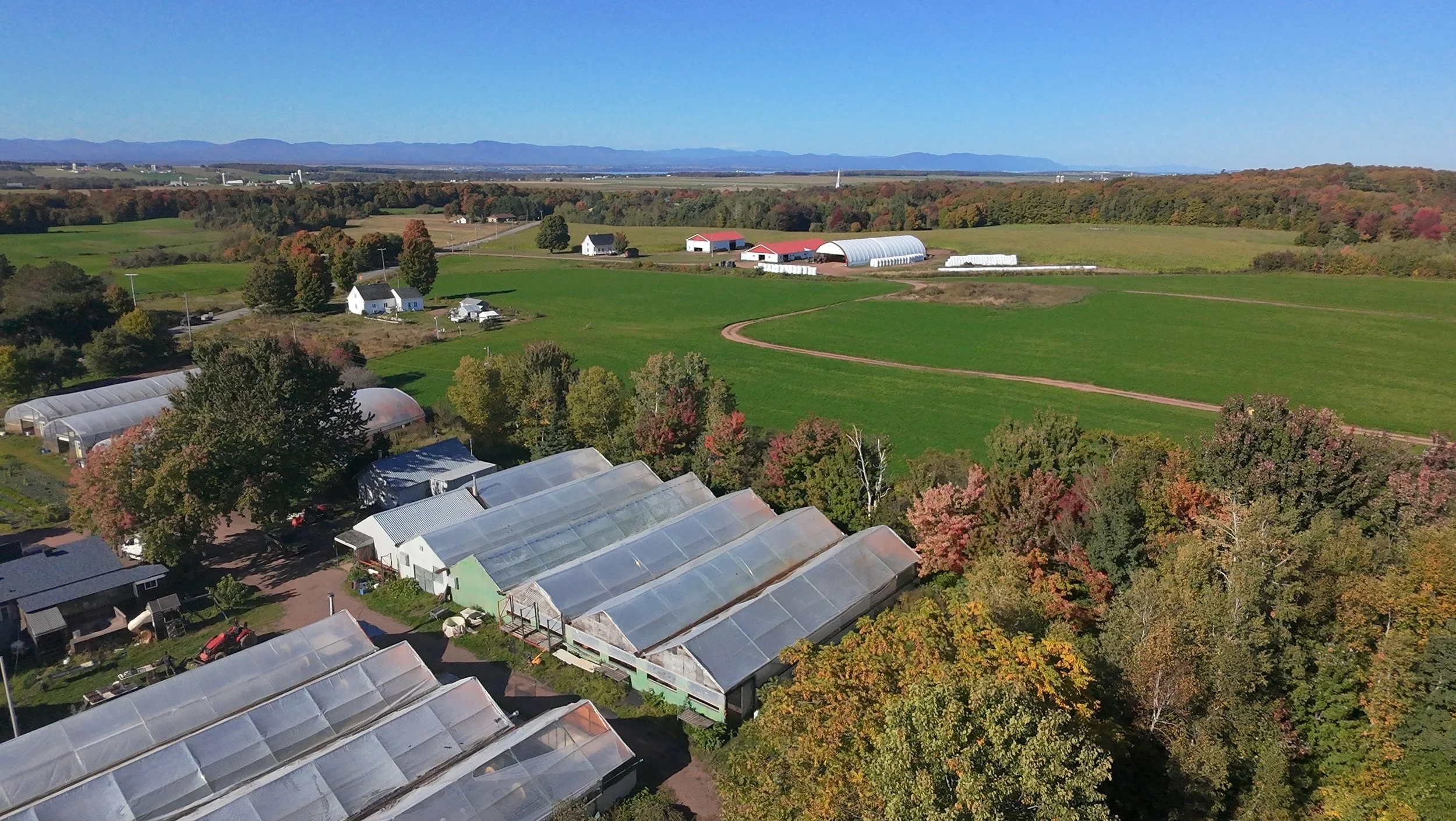 dji_fly_20260924_151438_0476_1790285855366_photo_beautify.jpeg