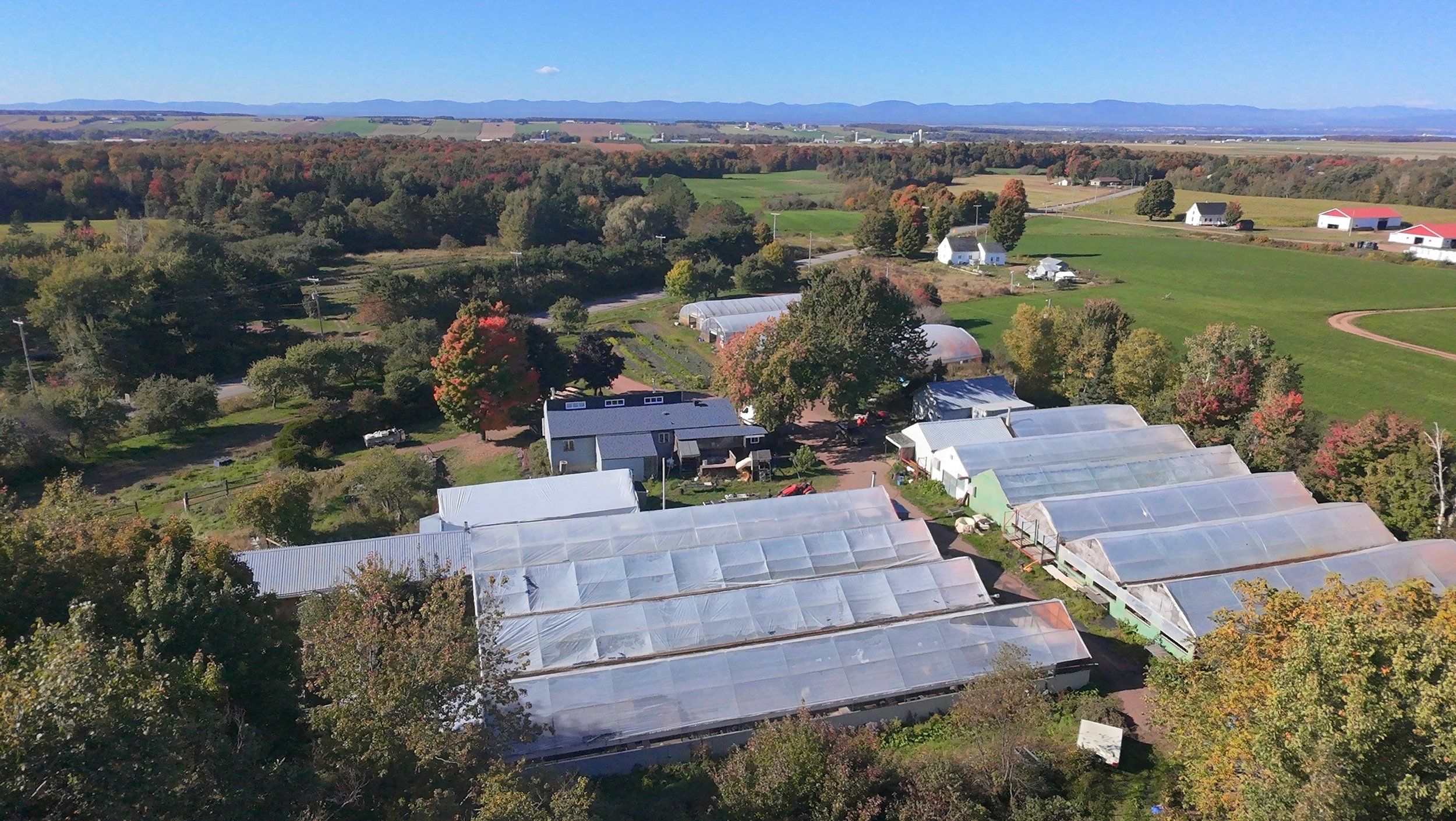 dji_fly_20260924_151446_0477_1790285854712_photo_beautify.jpeg