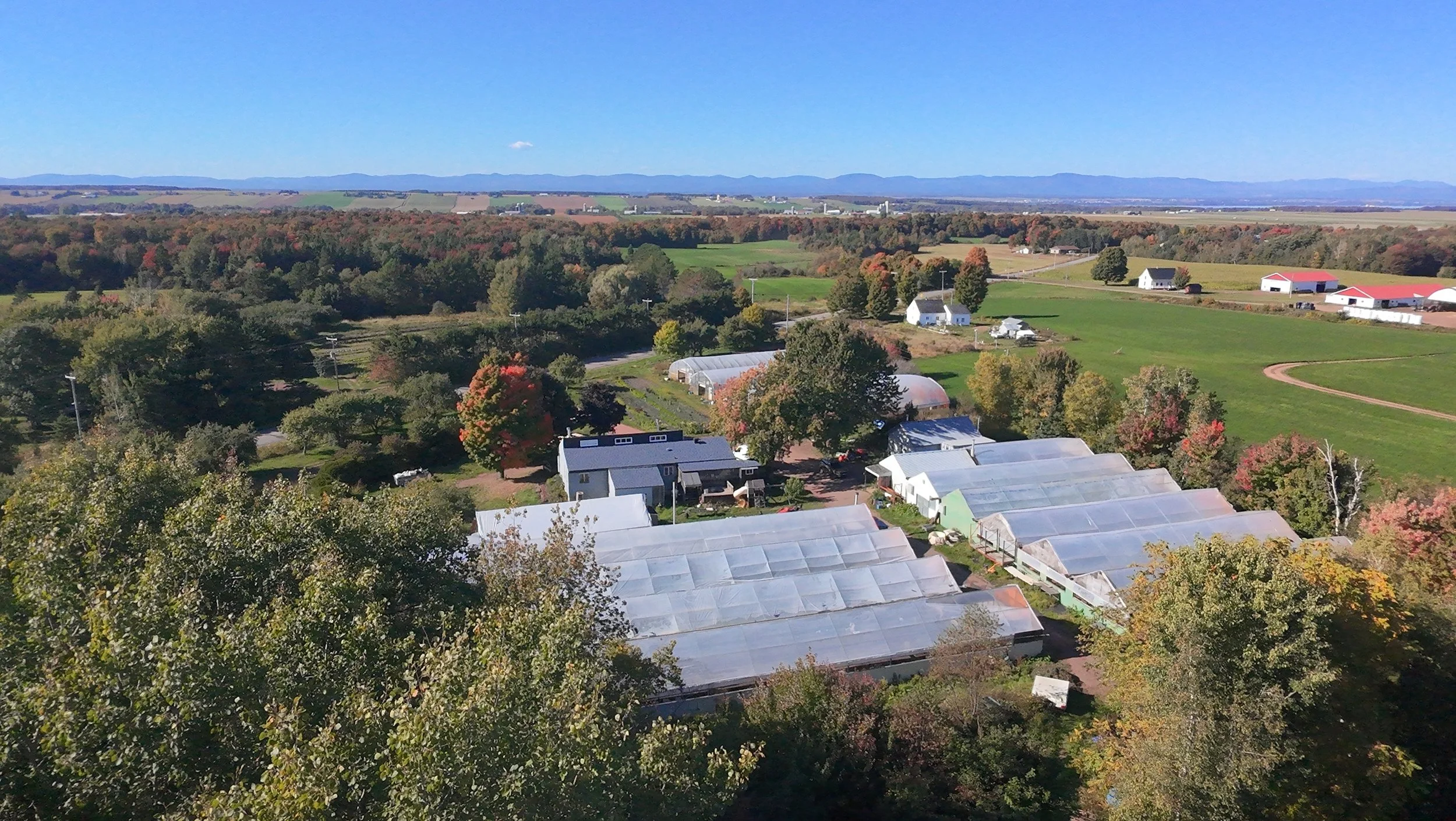 dji_fly_20260924_151448_0478_1790285854237_photo_beautify.jpeg