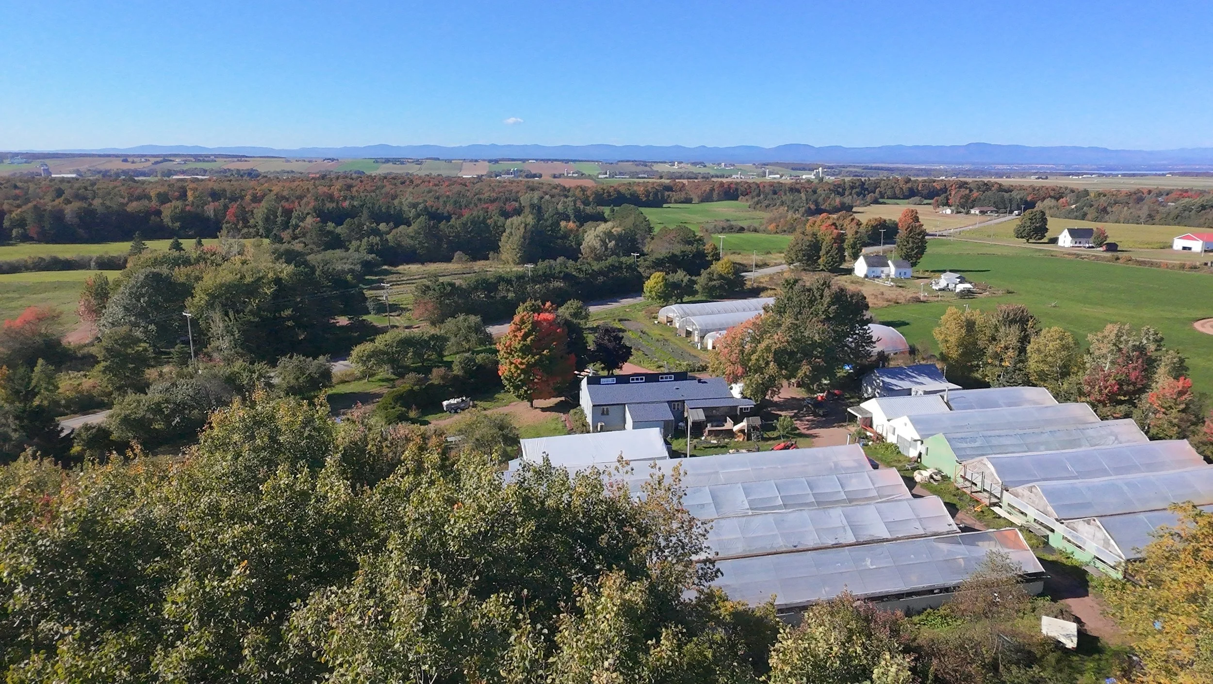 dji_fly_20260924_151454_0479_1790285853703_photo_beautify.jpeg