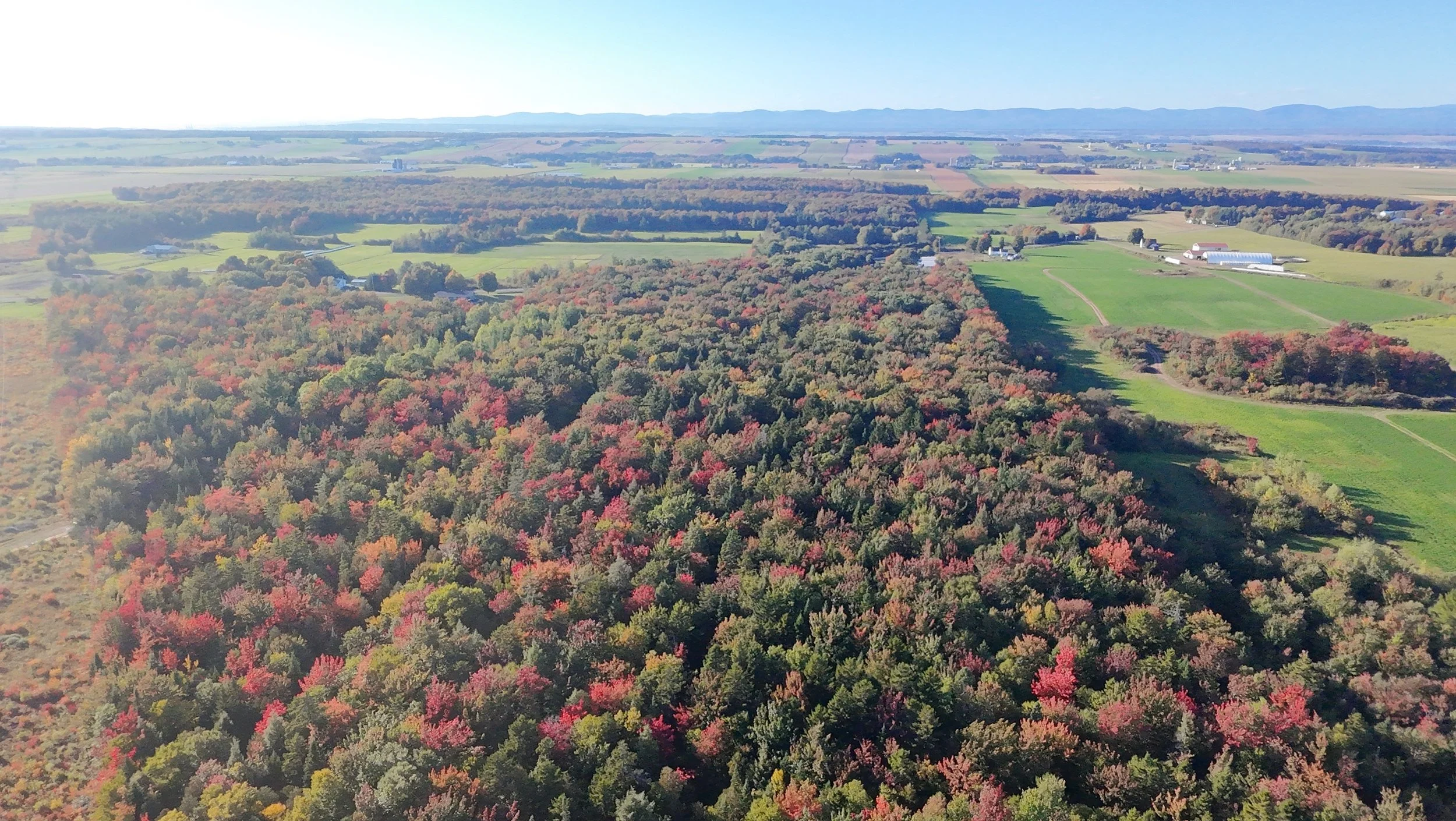 dji_fly_20260924_163438_0509_1790285841640_photo_beautify.jpeg