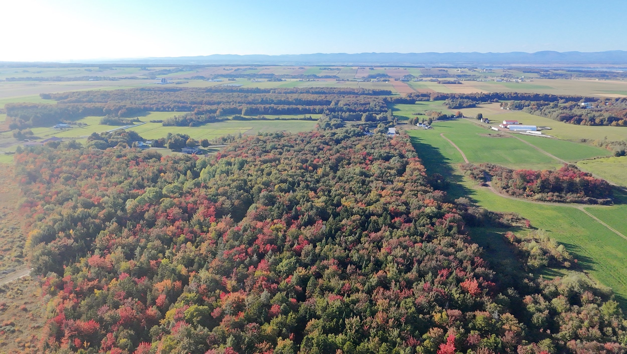 dji_fly_20260924_163448_0510_1790285841071_photo_beautify.jpeg