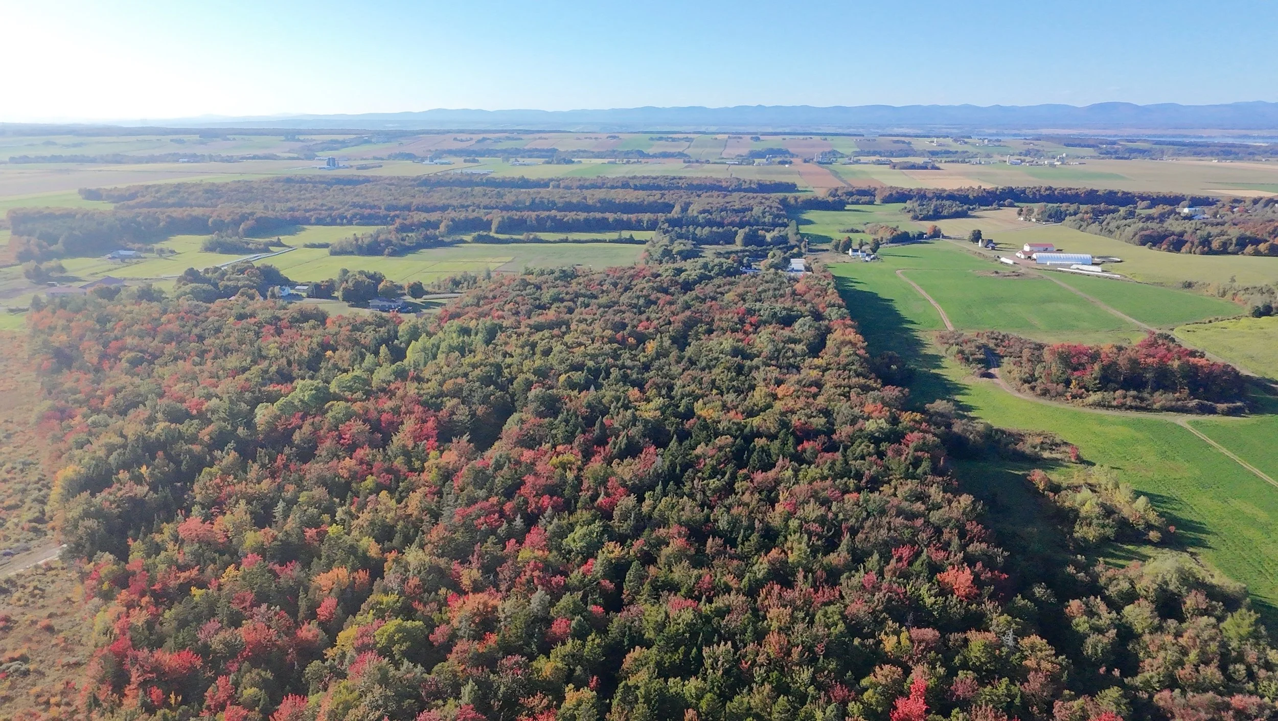 dji_fly_20260924_163450_0511_1790285840688_photo_beautify.jpeg