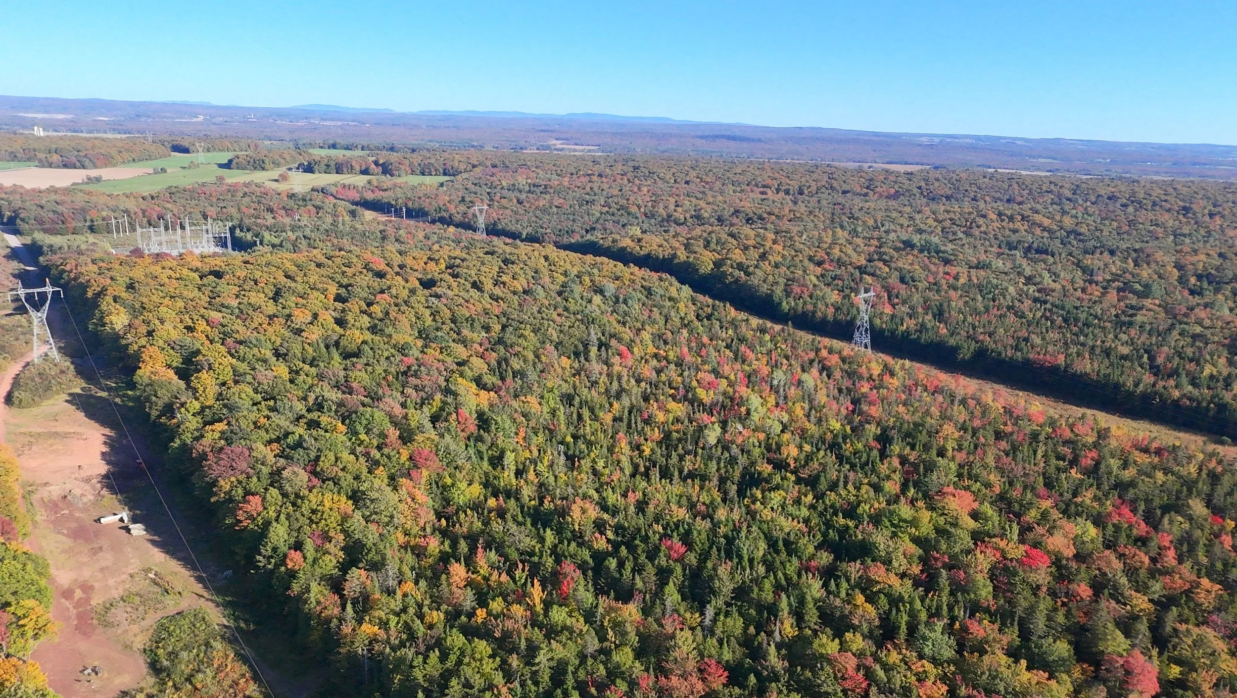 dji_fly_20260924_163518_0513_1790285839755_photo_beautify.jpeg