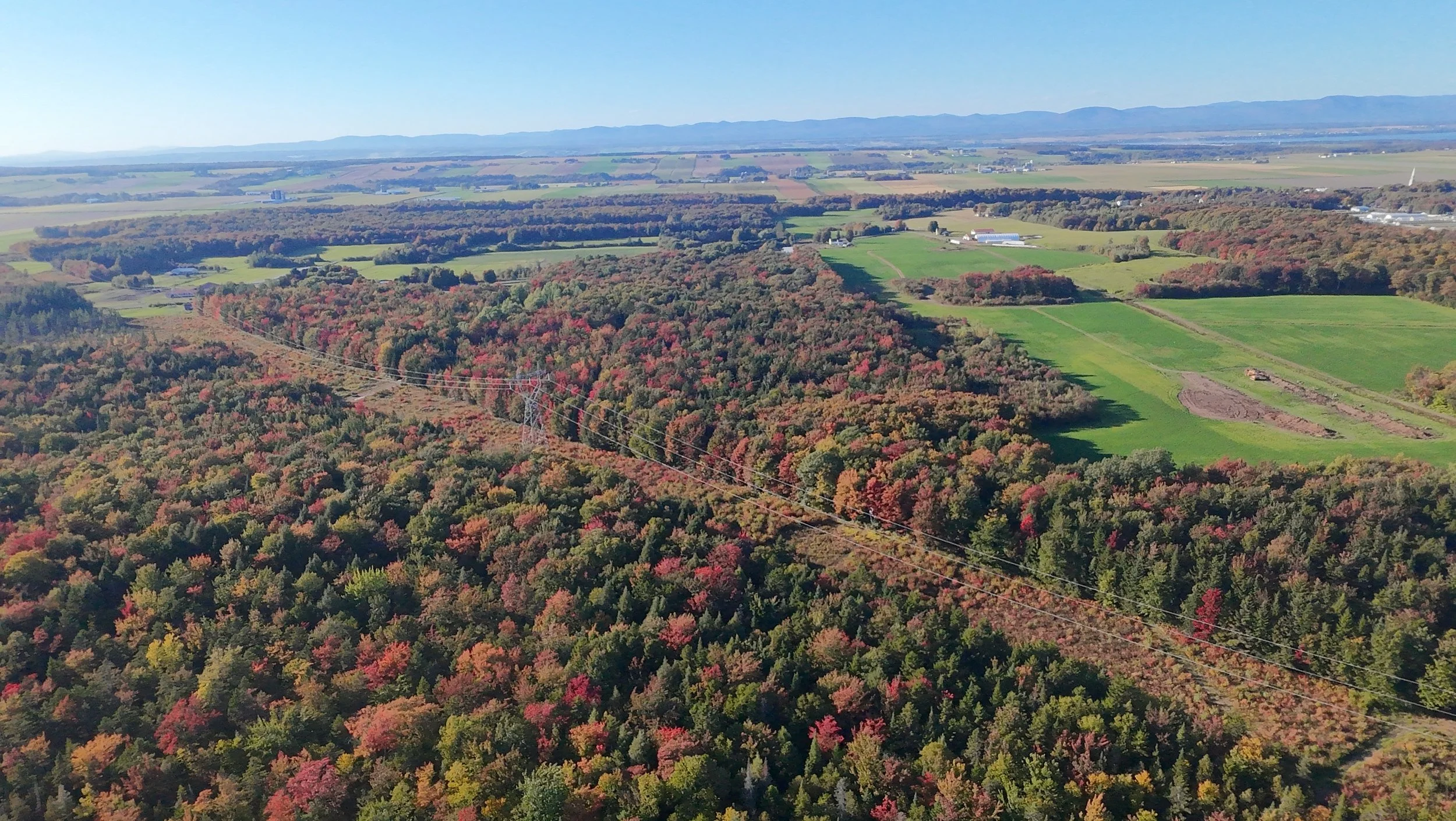 dji_fly_20260924_163638_0522_1790285836099_photo_beautify.jpeg