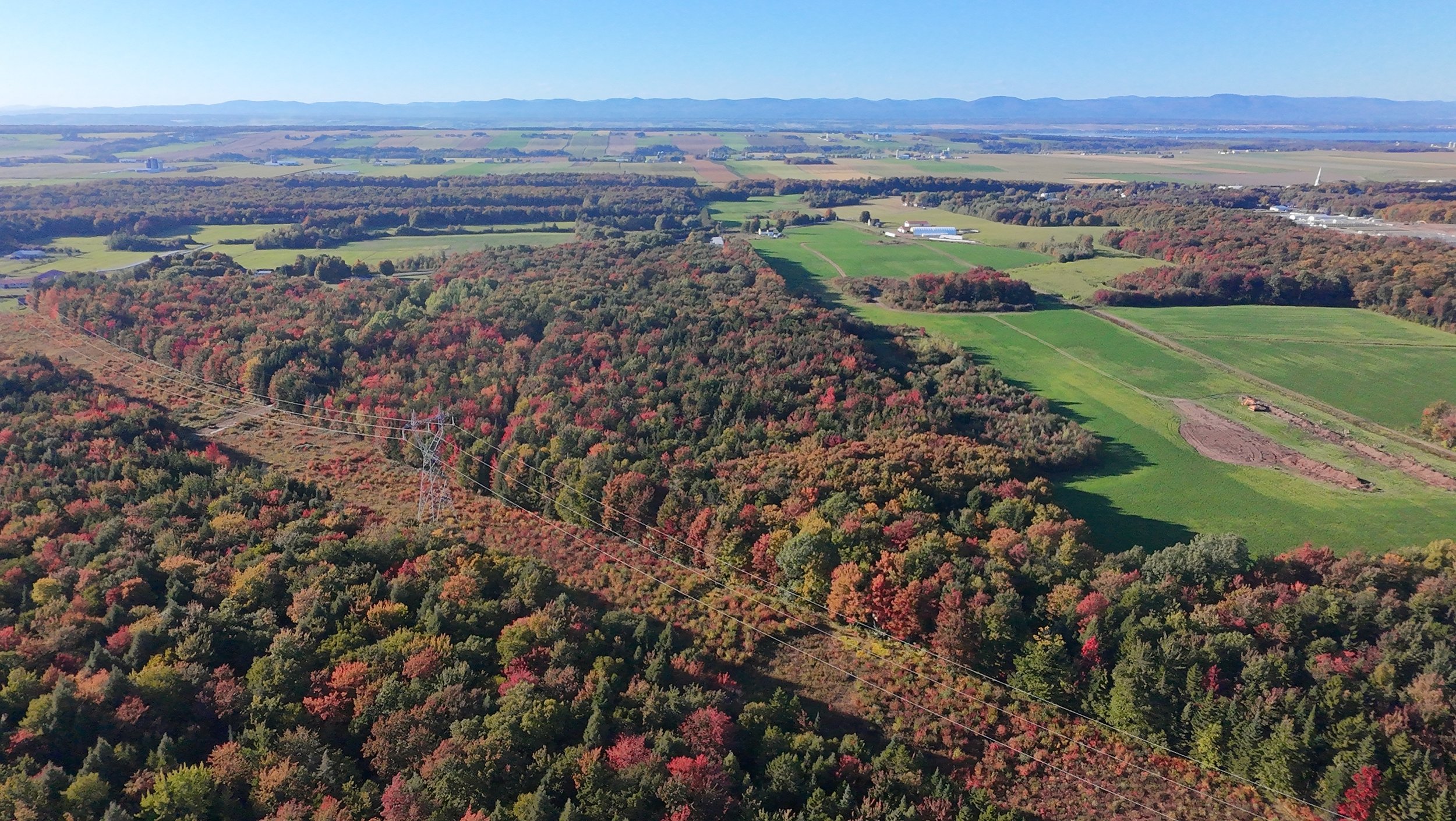 dji_fly_20260924_163658_0523_1790285835728_photo_beautify.jpeg