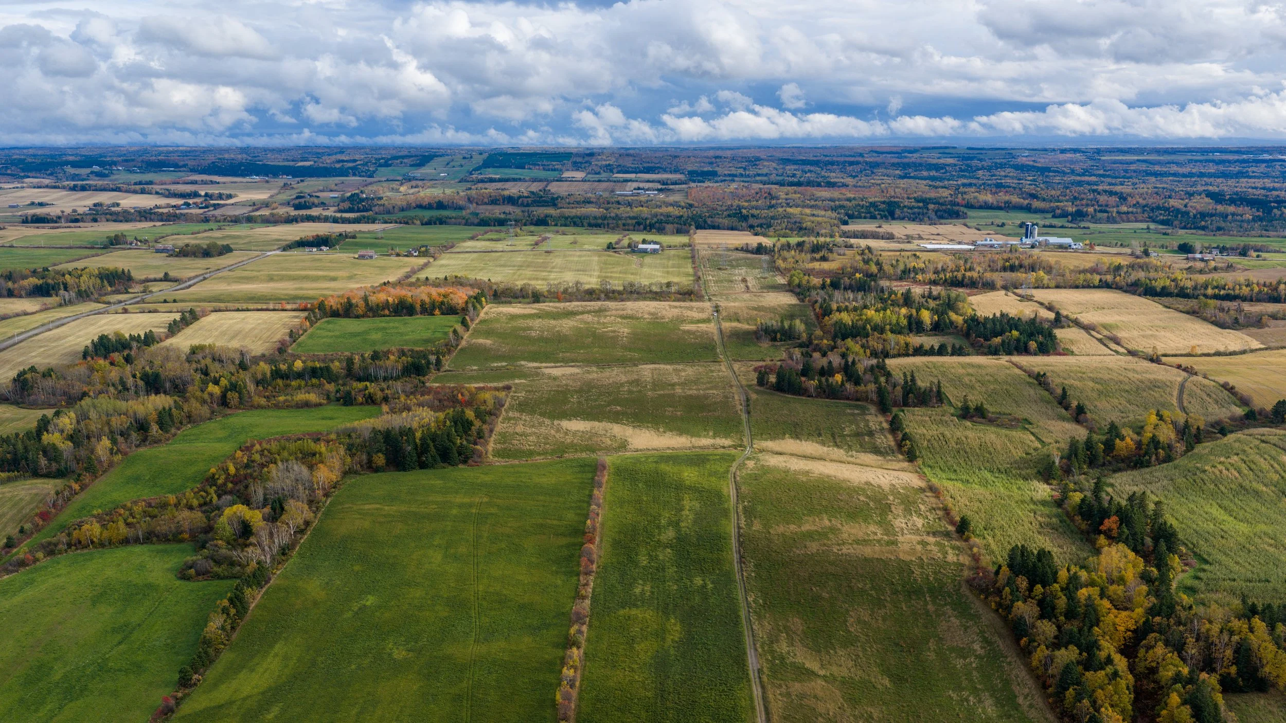 197-Drone-9.jpg