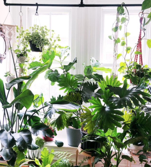 Screen Shot 2021-01-27 at 10.57.29 AM.png