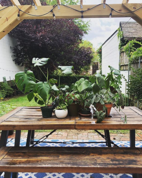 Screen Shot 2021-01-27 at 10.57.46 AM.png