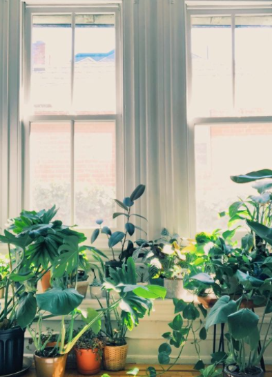 Screen Shot 2021-01-27 at 10.58.11 AM.png