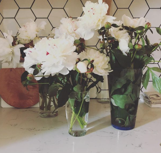 Screen Shot 2021-01-27 at 10.58.36 AM.png