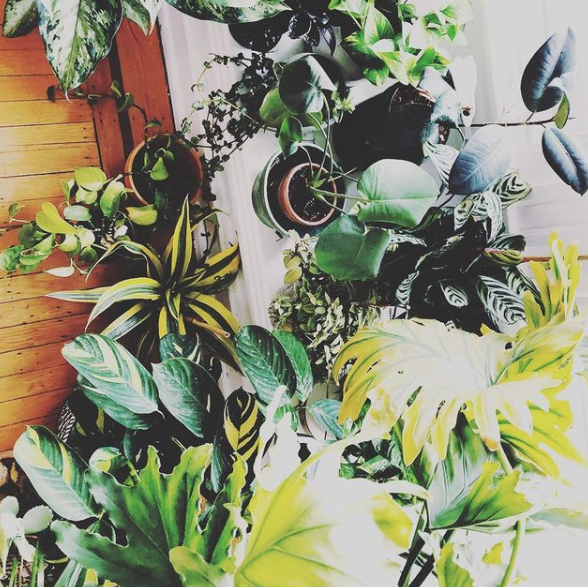 Screen Shot 2021-01-27 at 10.58.45 AM.png