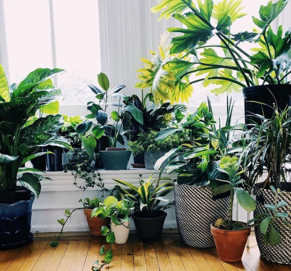 Screen Shot 2021-01-27 at 10.59.03 AM.png