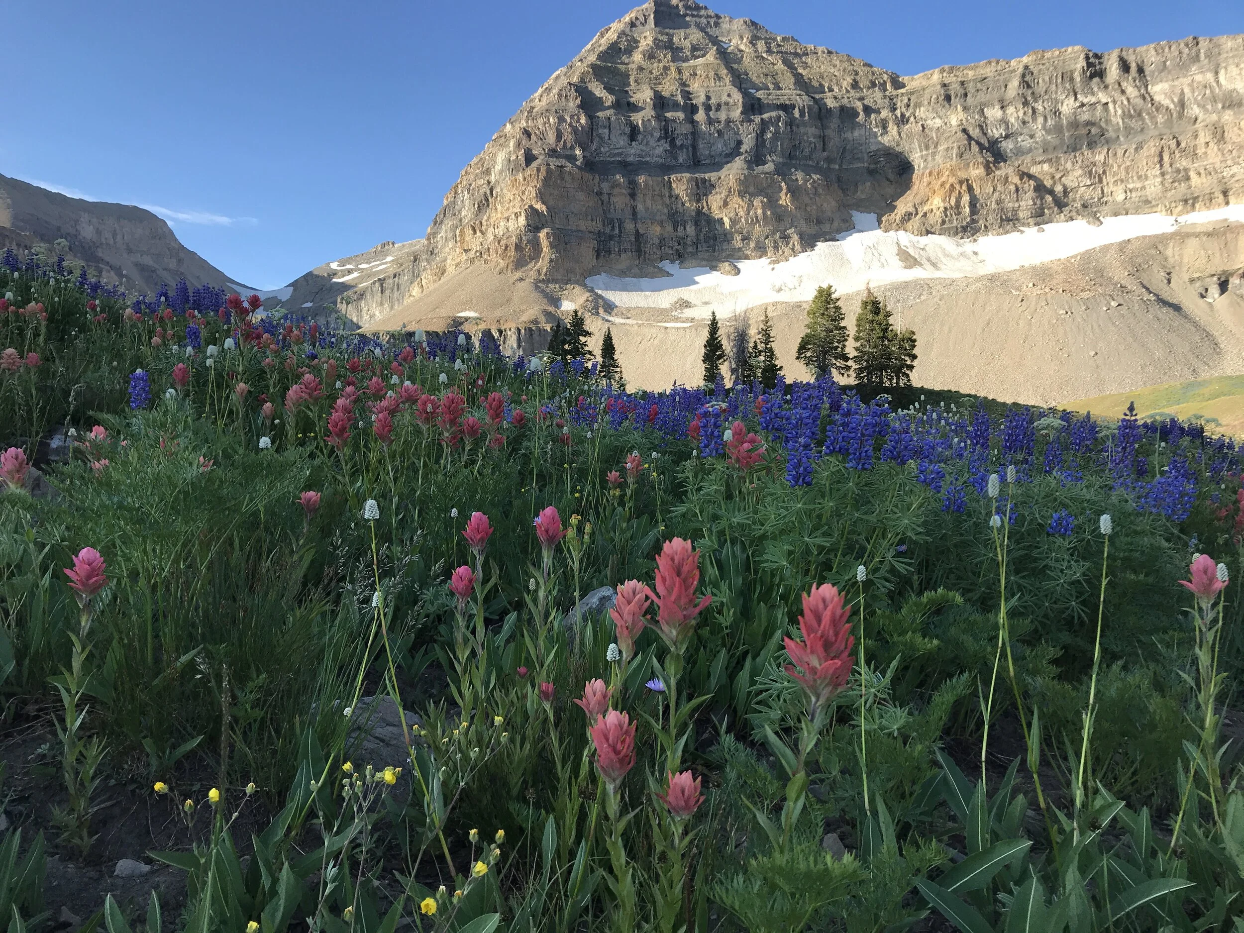 Summer Hike up Mount TImpanogos - Provo, UT