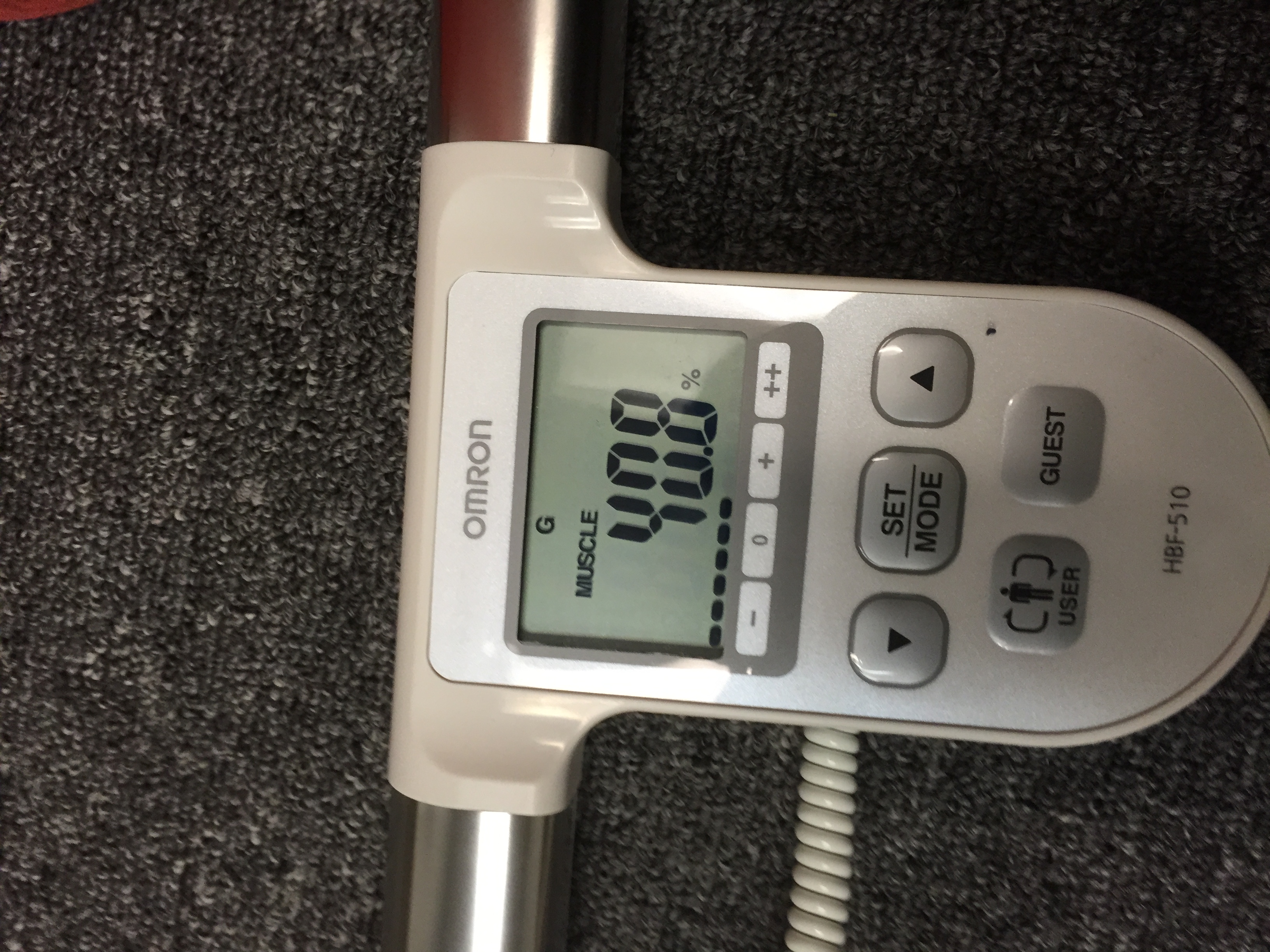 Our special body composition scale measures muscle mass percentage, a key piece of data needed to see positive progress.