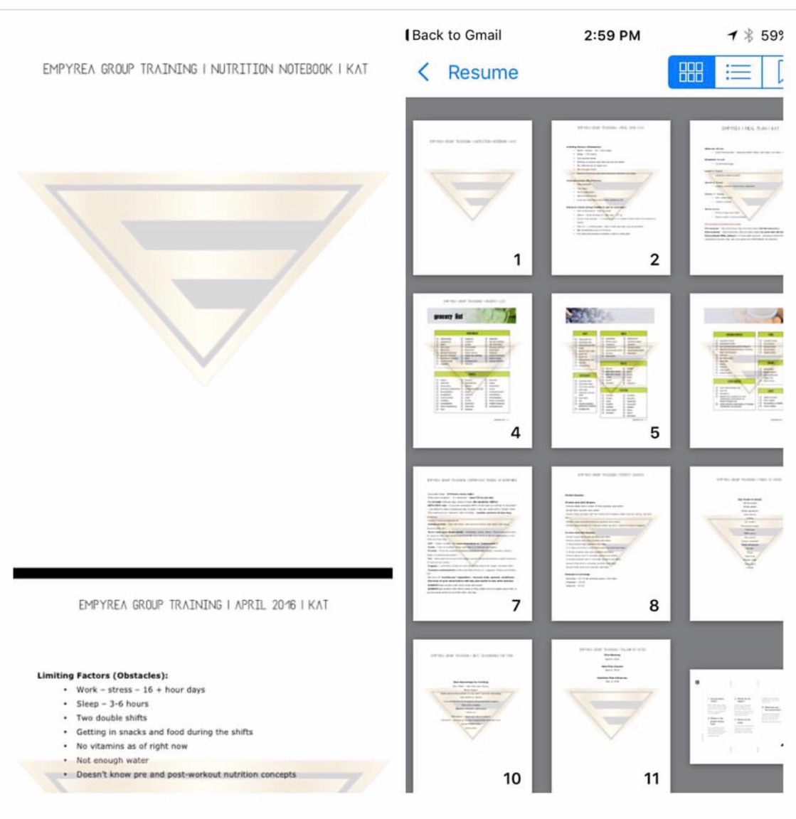 Empyrea Nutrition Notebook: (Left) cover and first page close-up. ( Right) page view index saved to iBooks on iPhone. 