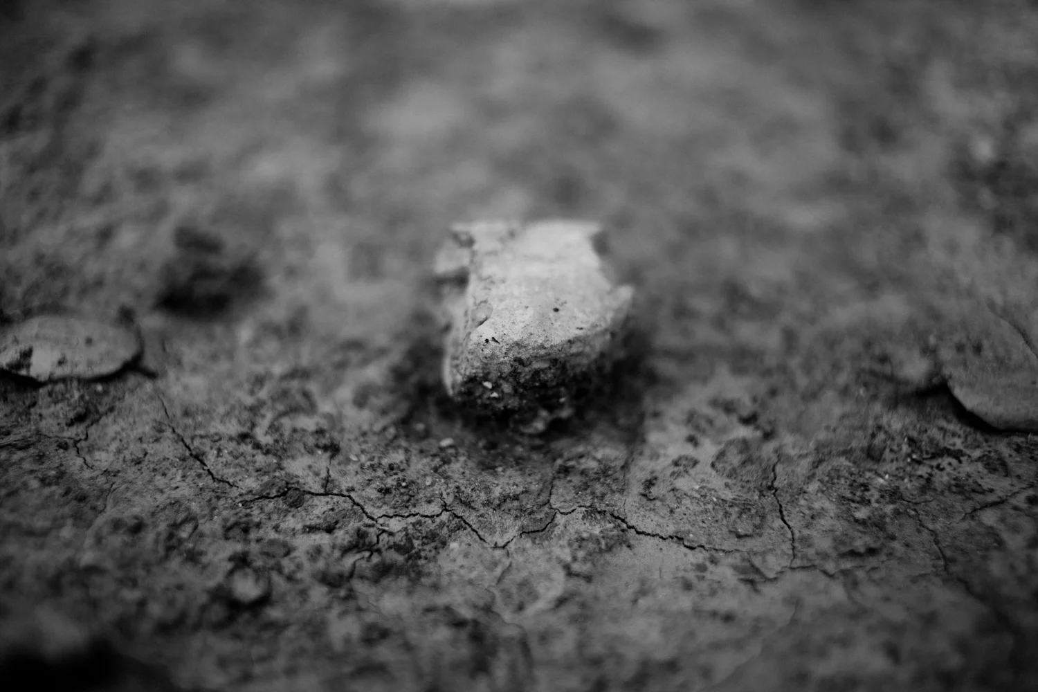 Rock + Crack
