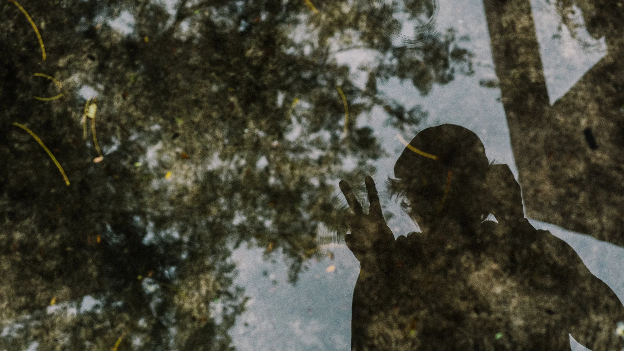Peaceful Reflection