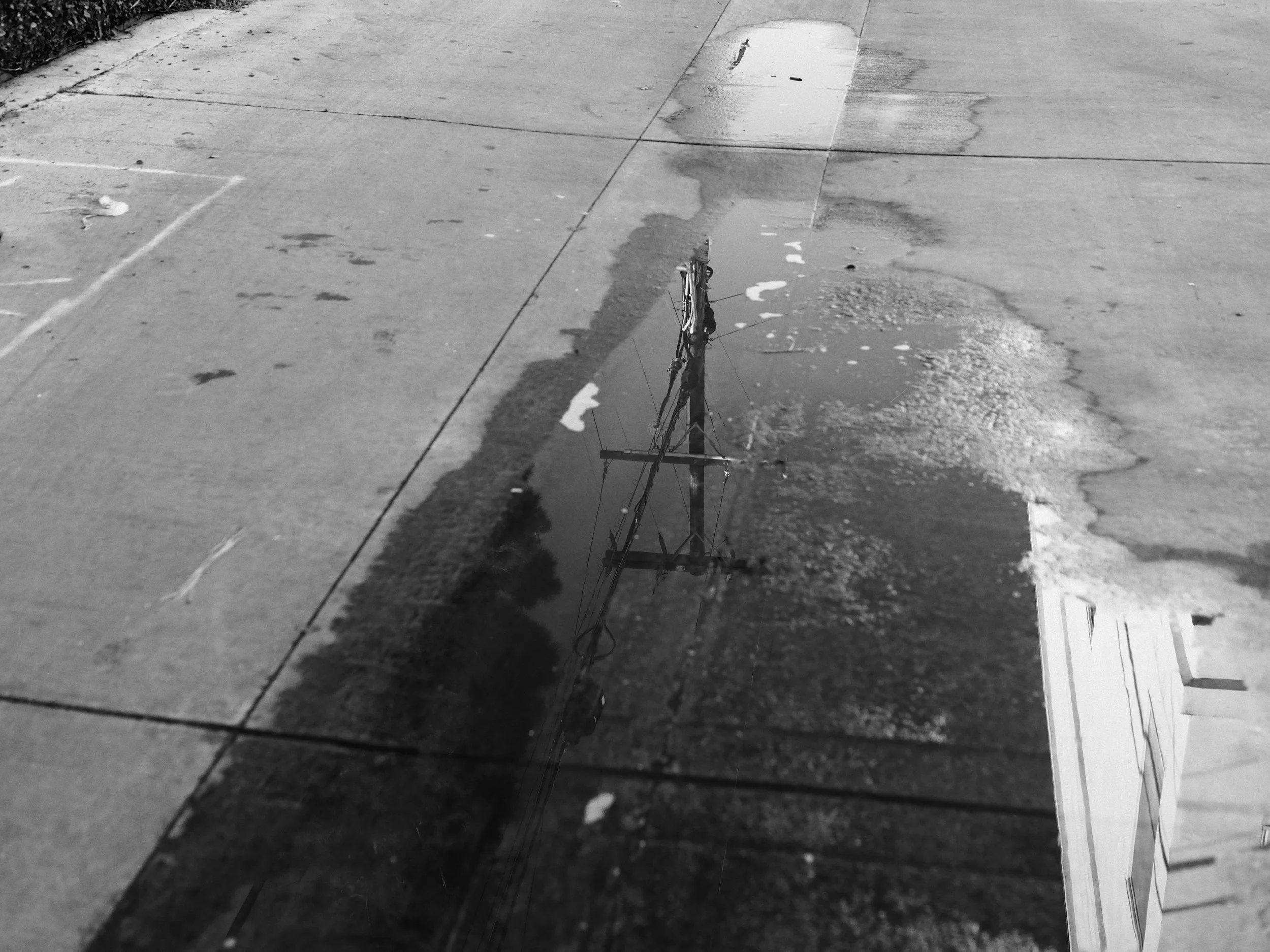 Puddle Reflection