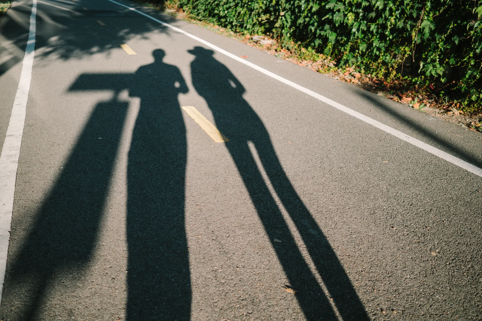 Shadows