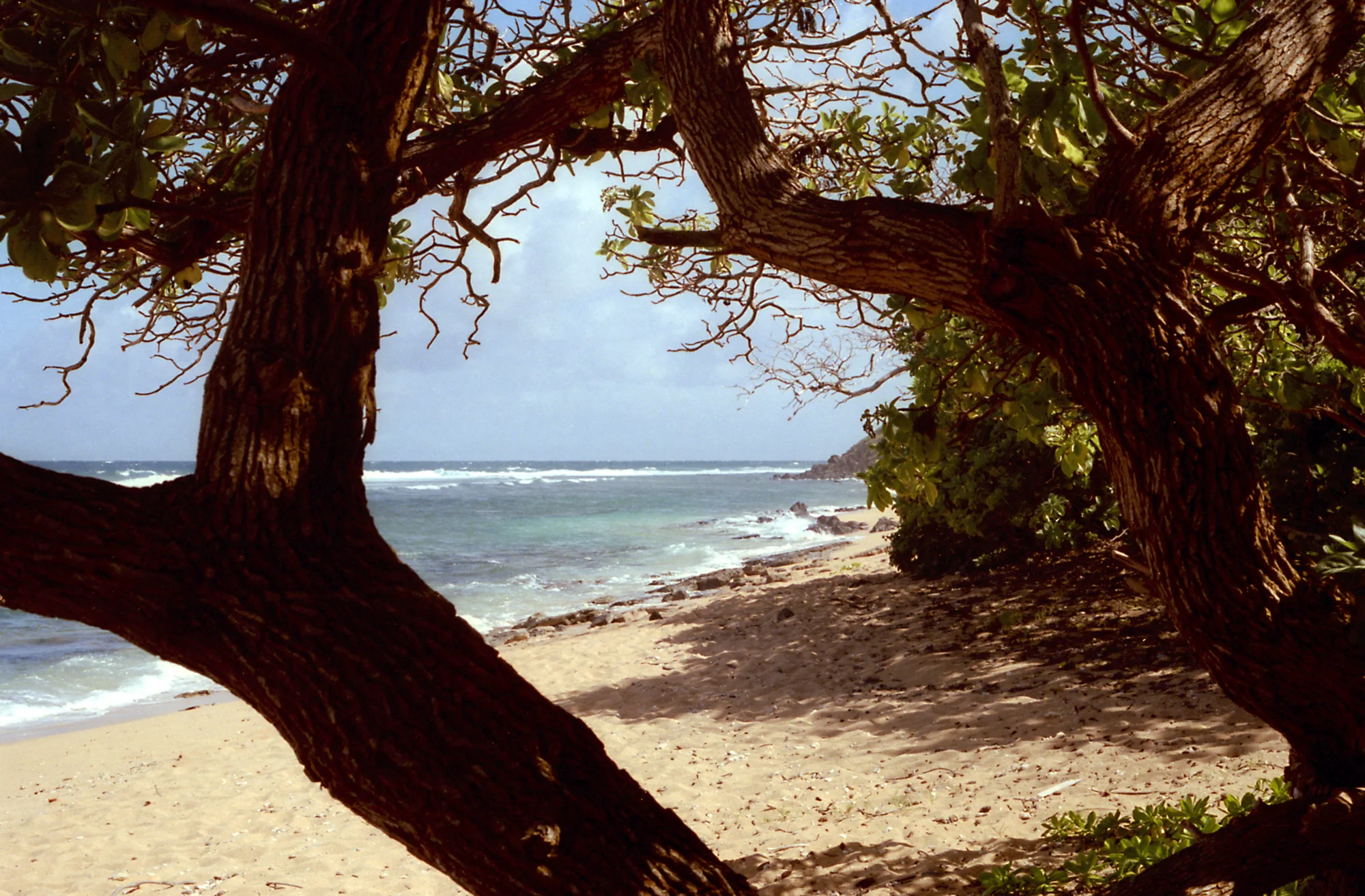 Larsen's Beach